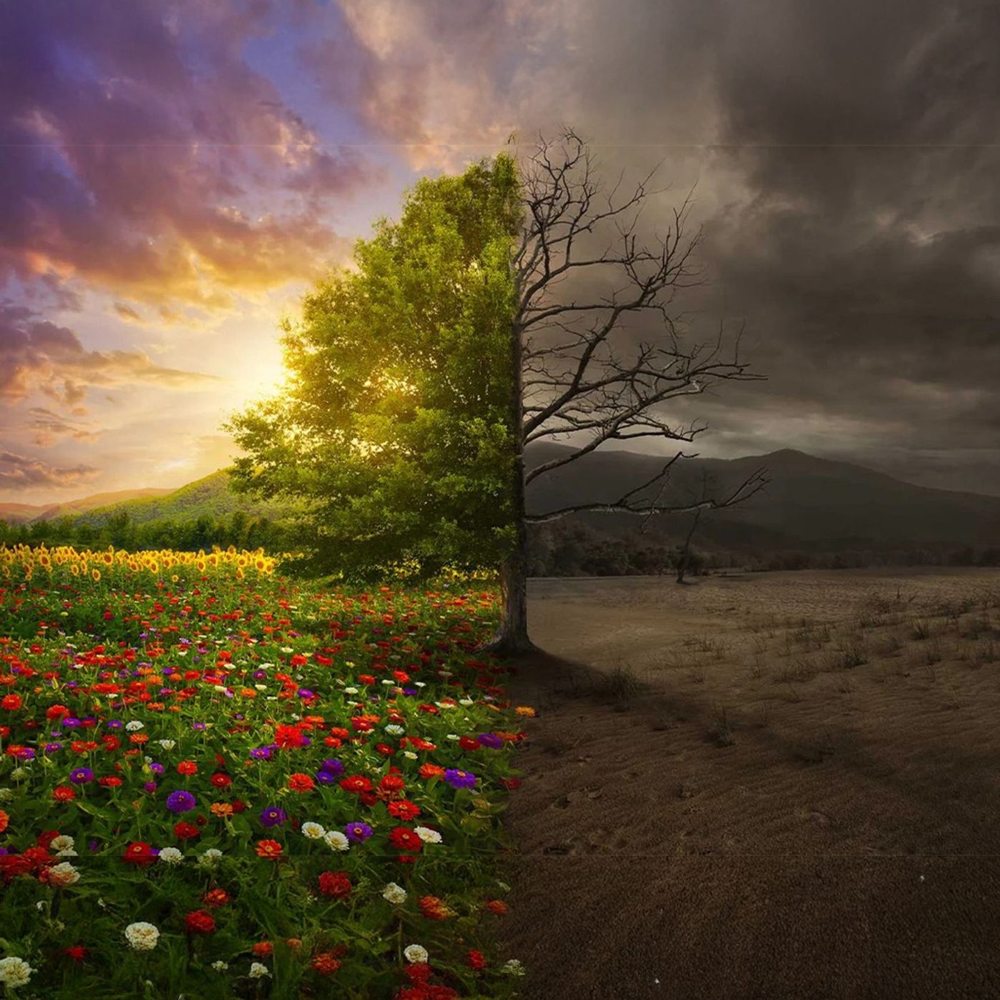 The Power Of A Godly Imagination | 6Apr2025