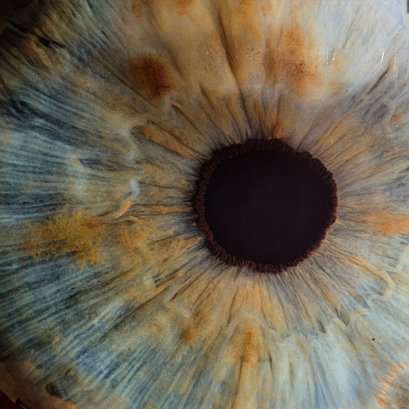 Moving From Physical Sight To Seeing | 1Nov2023