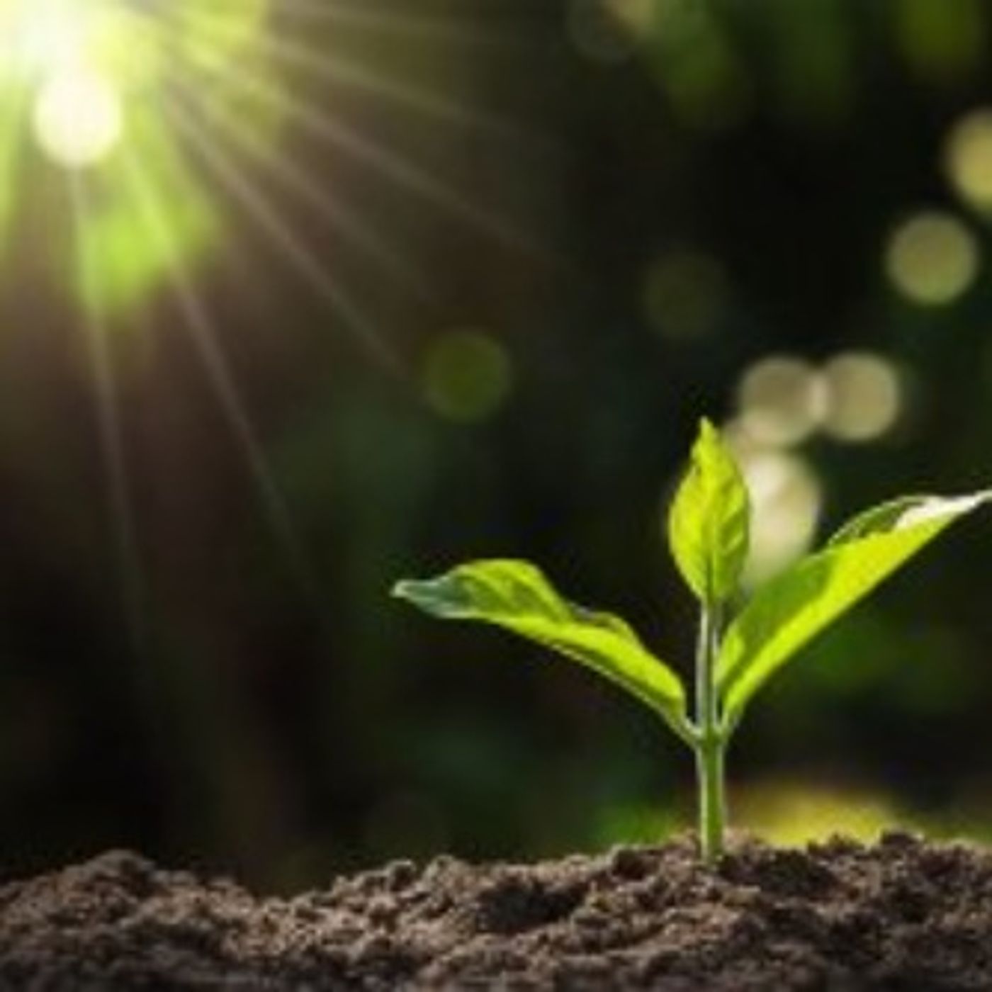 When God Says: I Am Your Increase | 6Jul2025