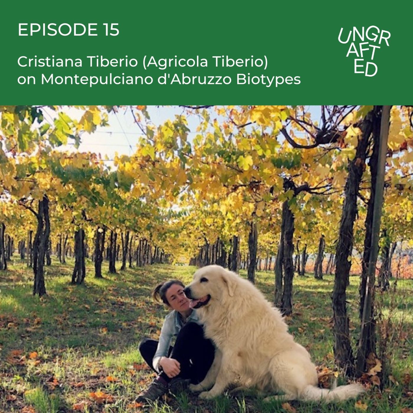 Episode 15: Cristiana Tiberio (Agricola Tiberio) on Montepulciano d'Abruzzo Biotypes episode artwork