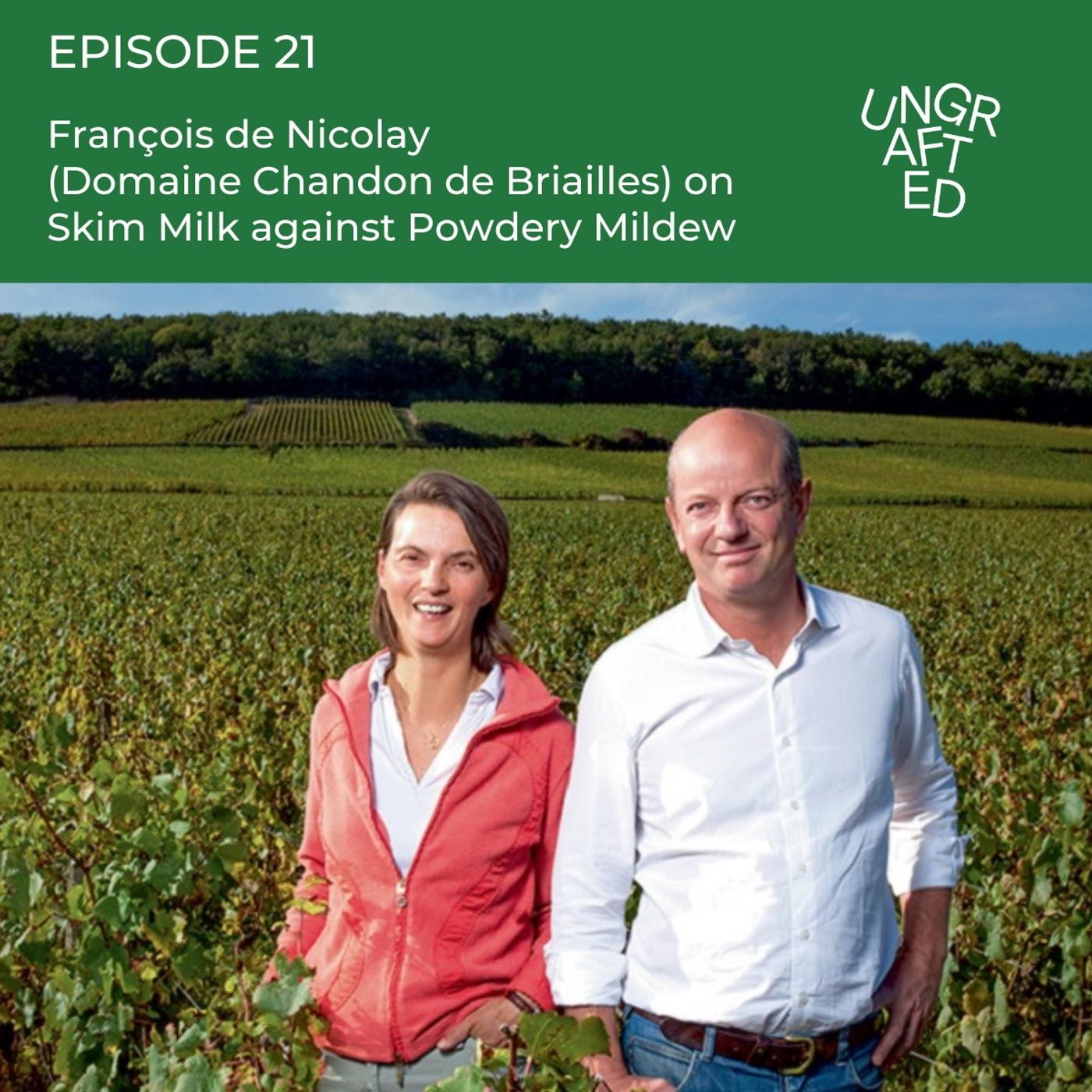 Episode 21: François de Nicolay (Domaine Chandon de Briailles) on Skim Milk against Powdery Mildew episode artwork