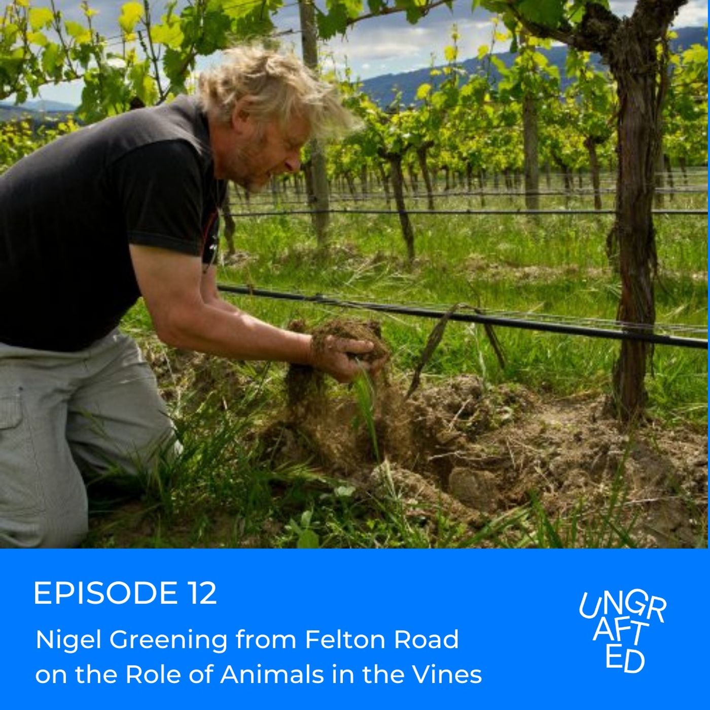 Episode 12: Nigel Greening from Felton Road on the Role of Animals in the Vines