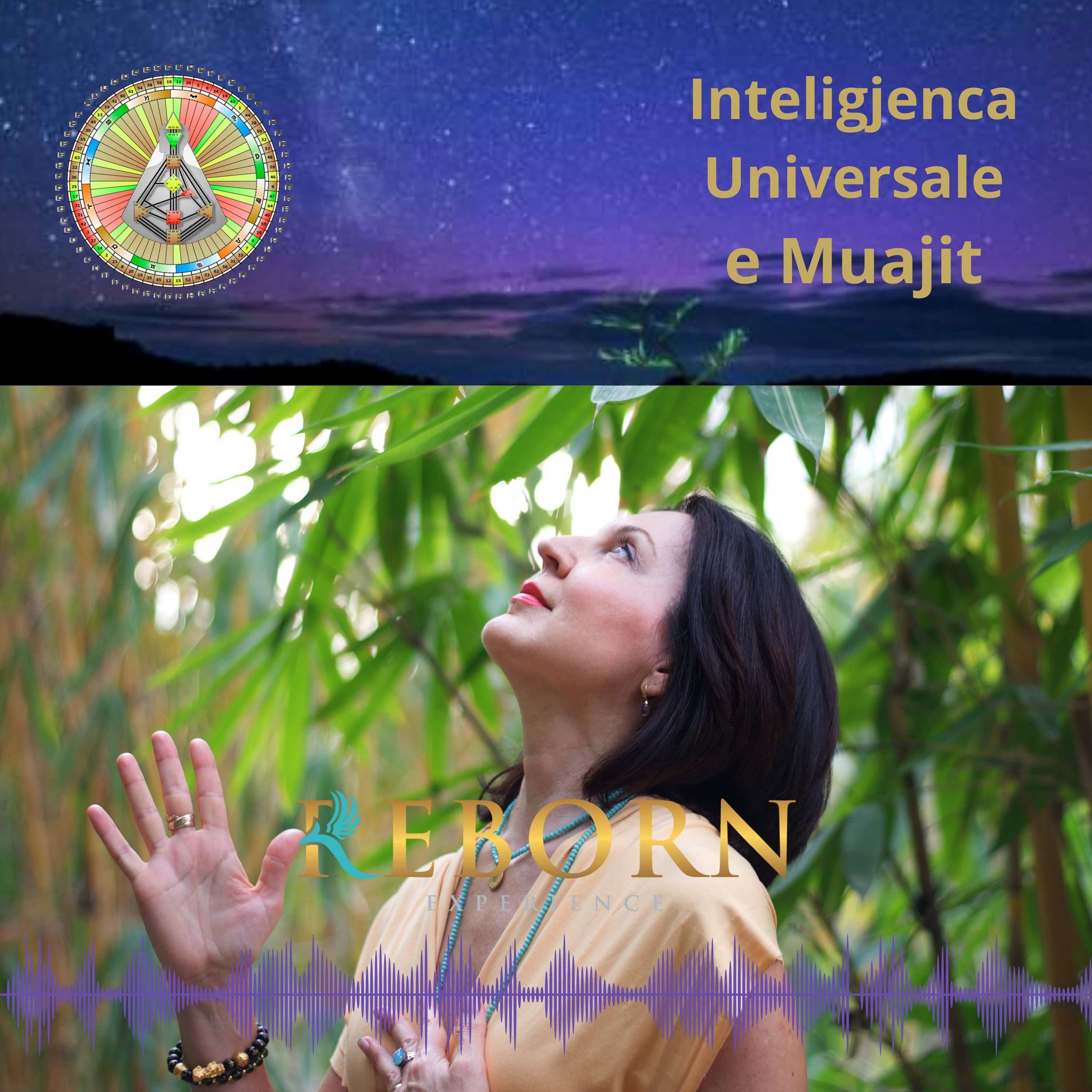Pulsi Energjik dhe Inteligjenca Universale e Muajit Mars episode artwork