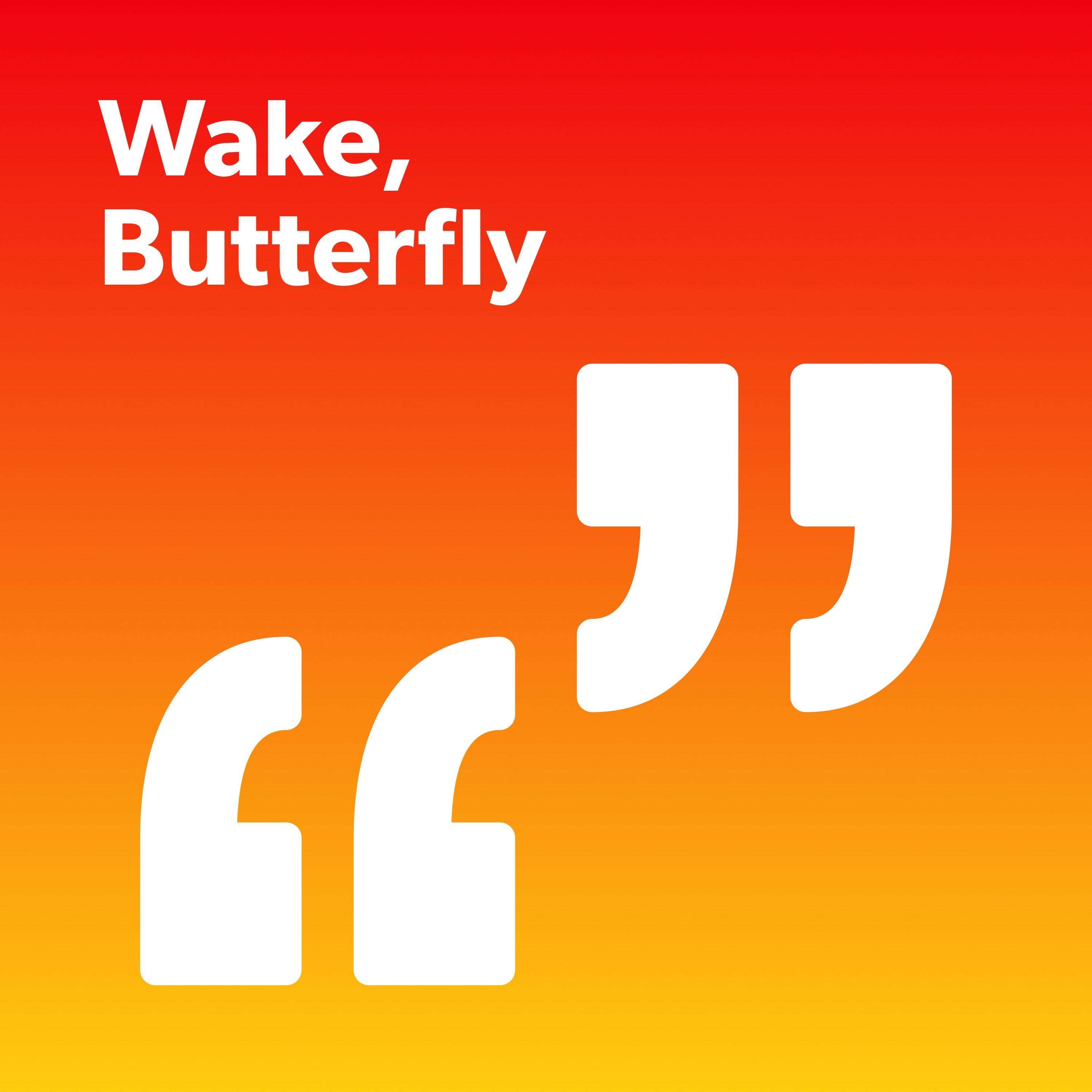 Wake, Butterfly: Exorcise the Grief with Dawn Lundy Martin episode artwork