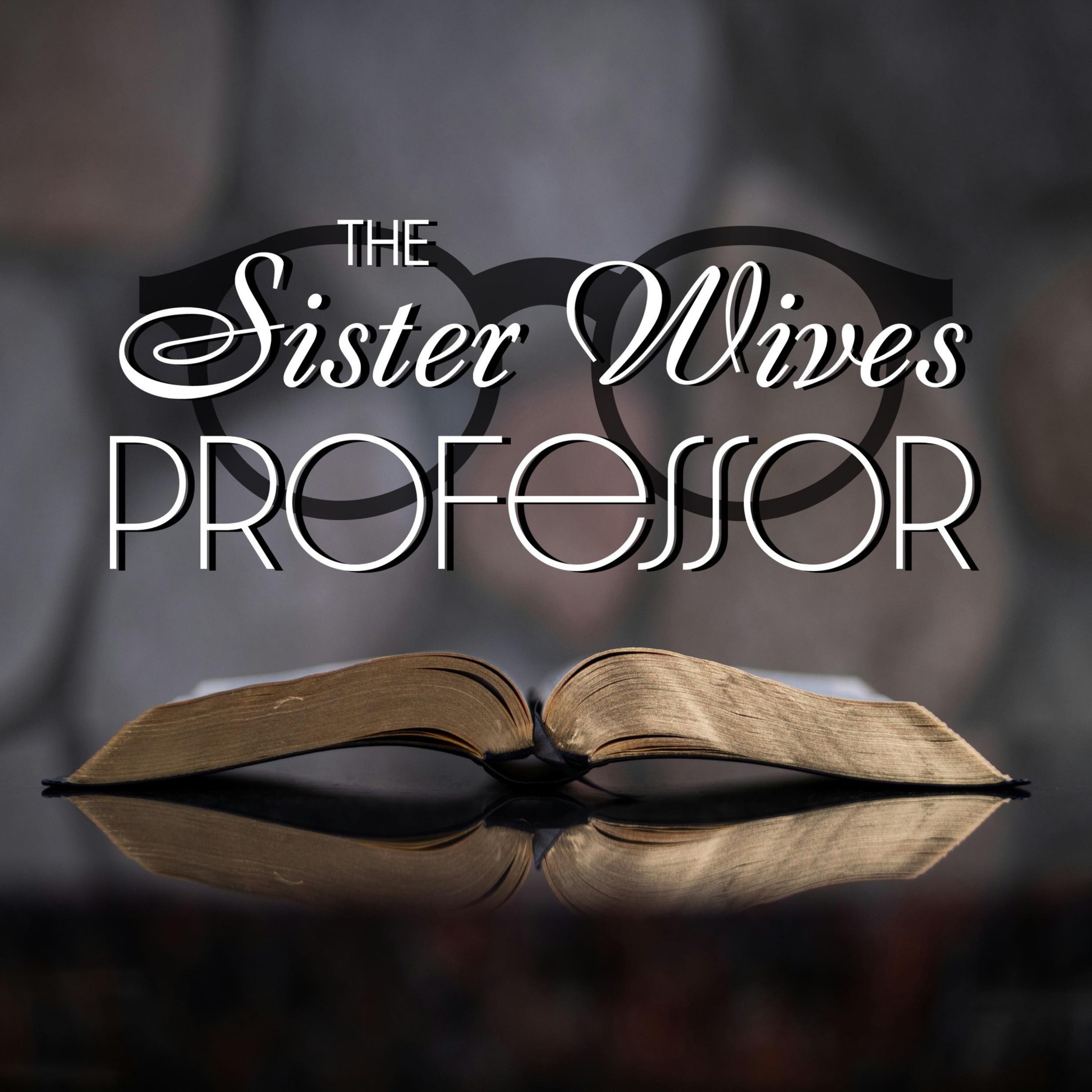 Sister Wives 4.6 - Four Wives, Four Valentines