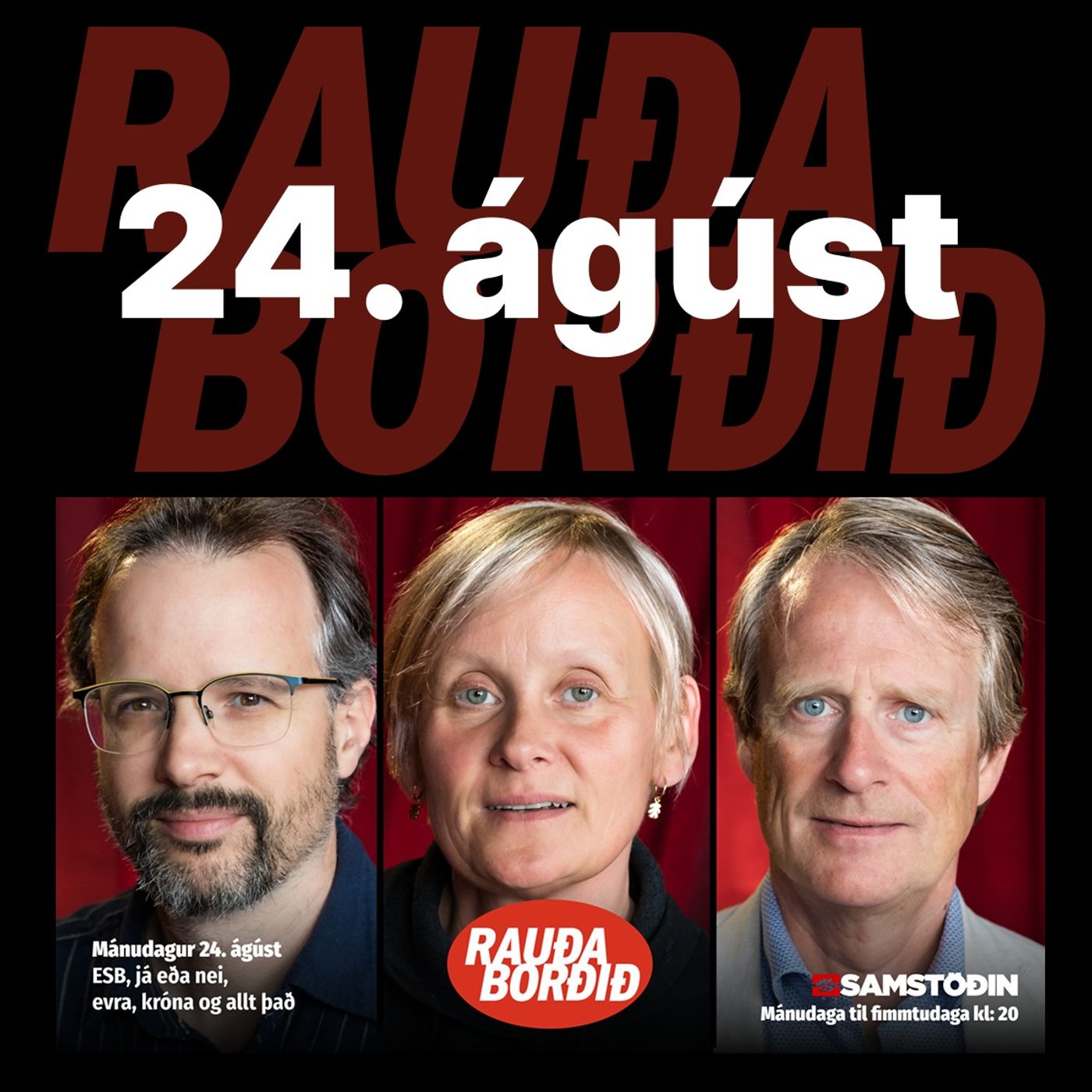 Mánudagur 24. ágúst - ESB, já eða nei, evra, króna og allt það episode artwork
