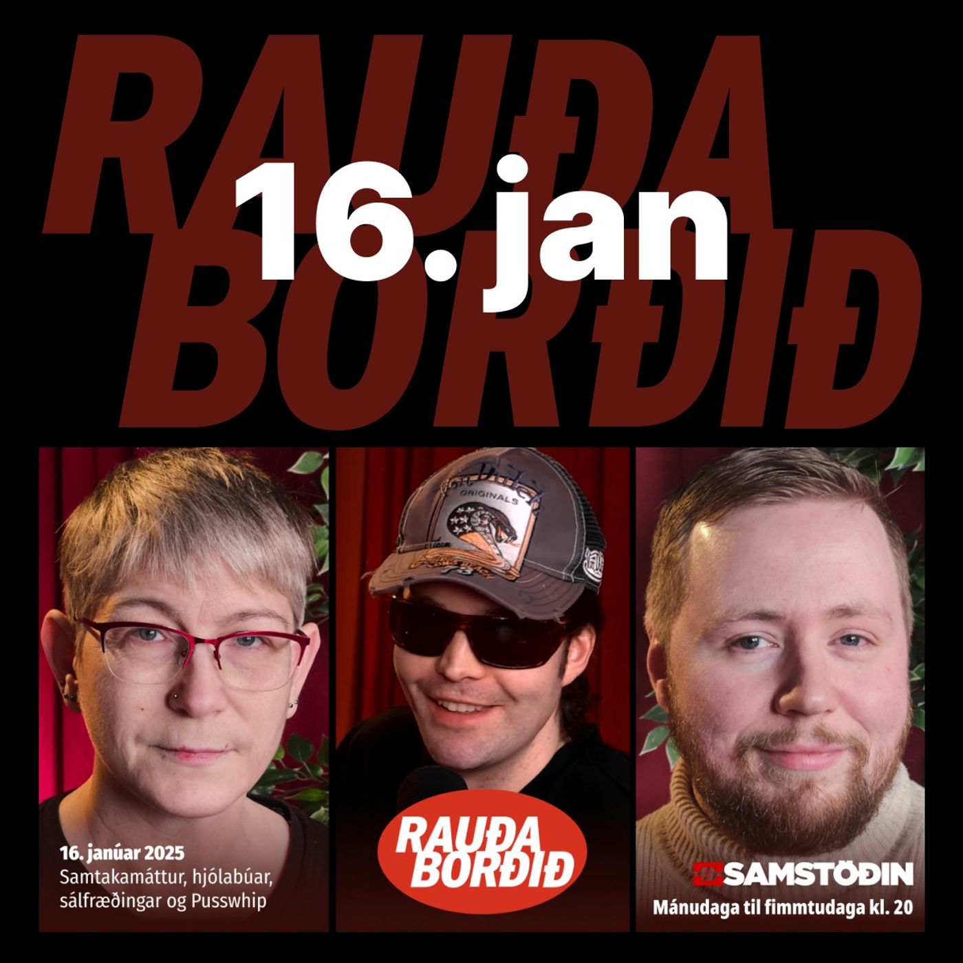 Rauða borðið 16. jan - Samtakamáttur, hjólabúar, sálfræðingar og Pusswhip episode artwork