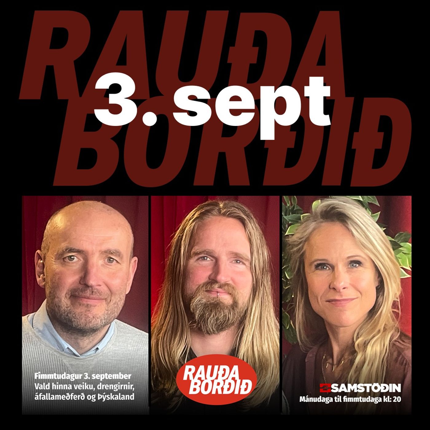 Rauða borðið 3. sept - Vald hinna veiku, drengirnir, áfallameðferð og Þýskaland episode artwork