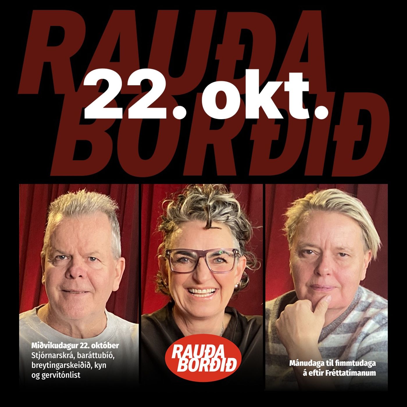 Rauða borðið 22. okt - Stjórnarskrá, baráttubíó, breytingarskeiðið, kyn og gervitónlist episode artwork