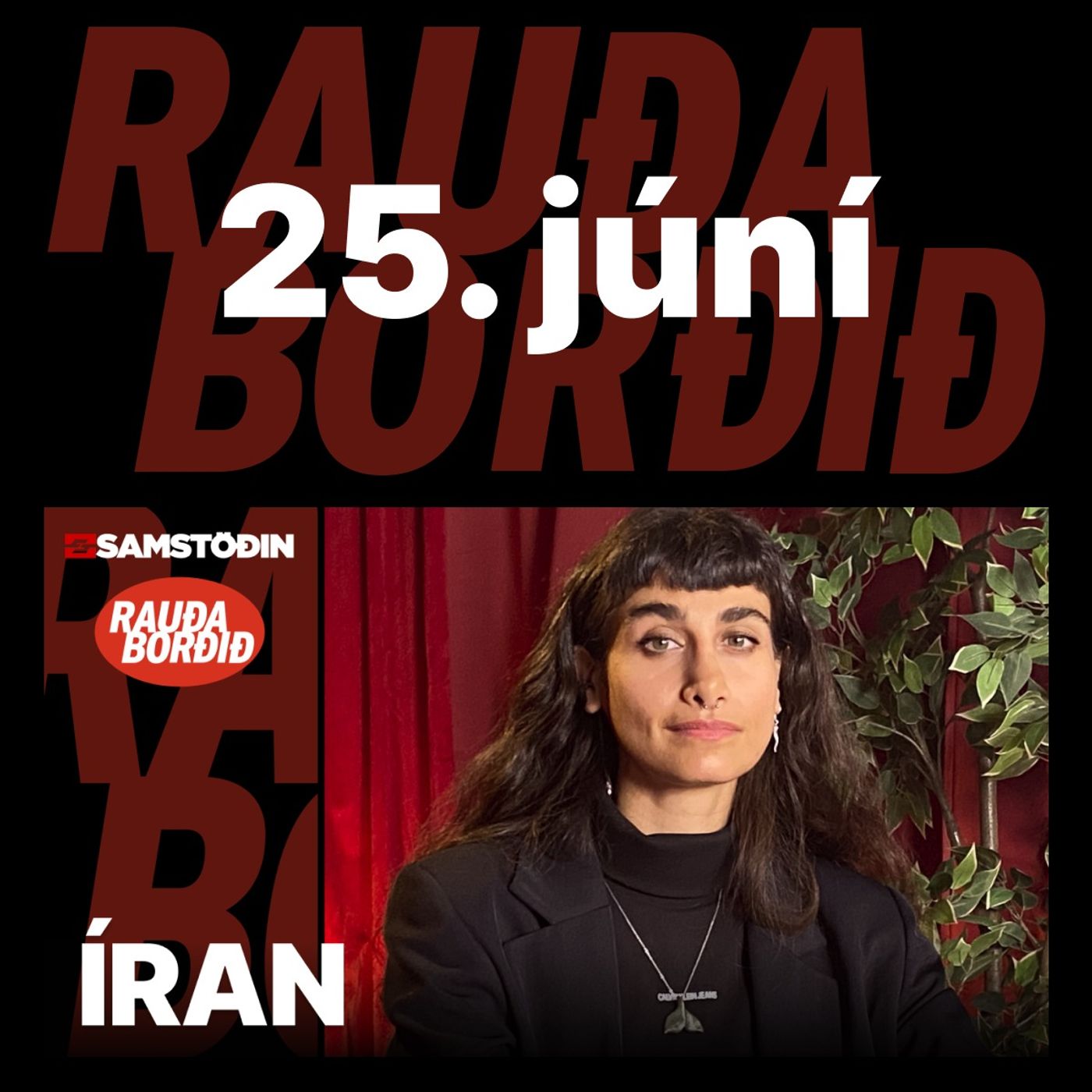 Rauða borðið 25. júní - Íran episode artwork