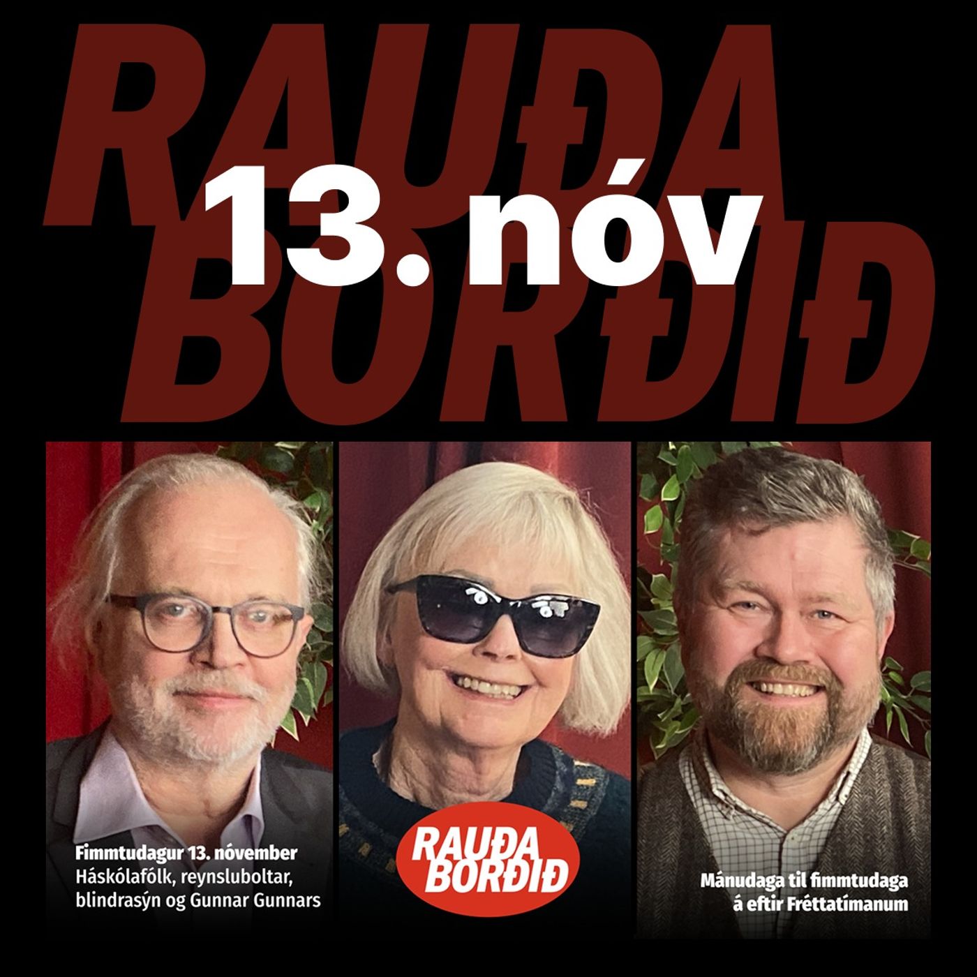 Rauða borðið 13. nóv - Háskólafólk, reynsluboltar, blindrasýn og Gunnar Gunnars