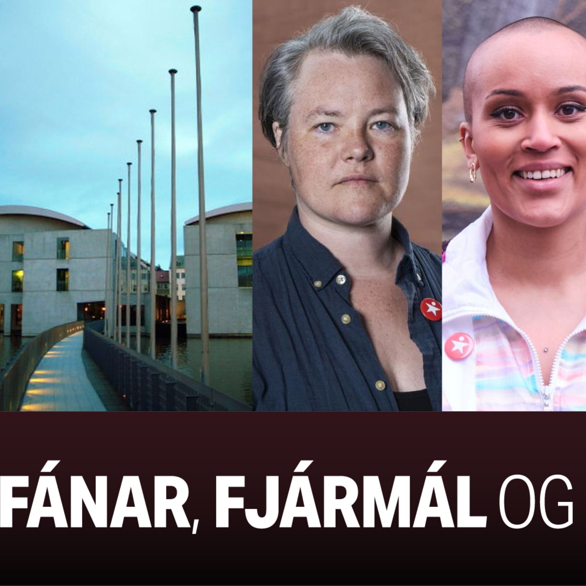 Reykjavíkurfréttir