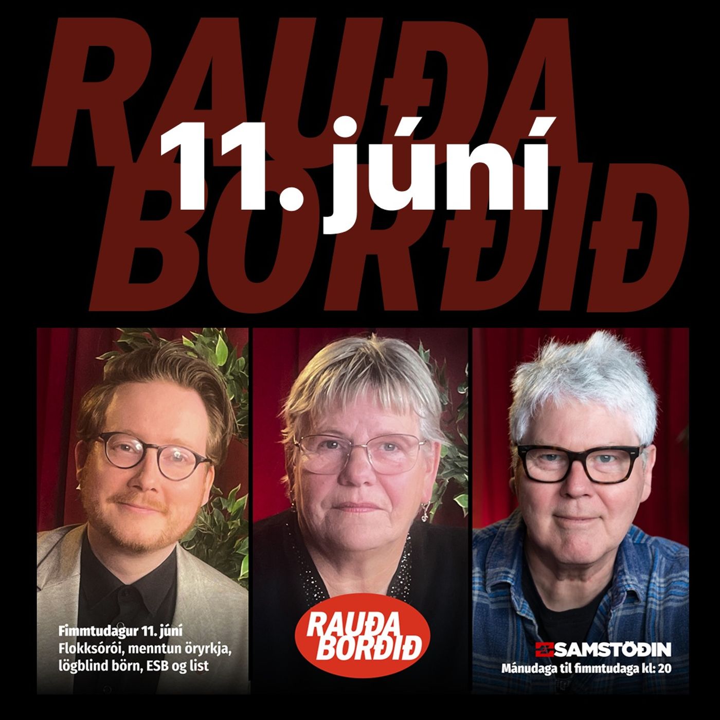 Rauða borðið 11. júní - Flokksórói, menntun öryrkja, lögblind börn, ESB og list