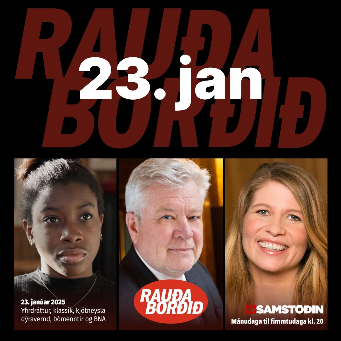 Rauða borðið 23. jan - Yfirdráttur, klassík, kjötneysla dýravernd, bómenntir og BNA episode artwork