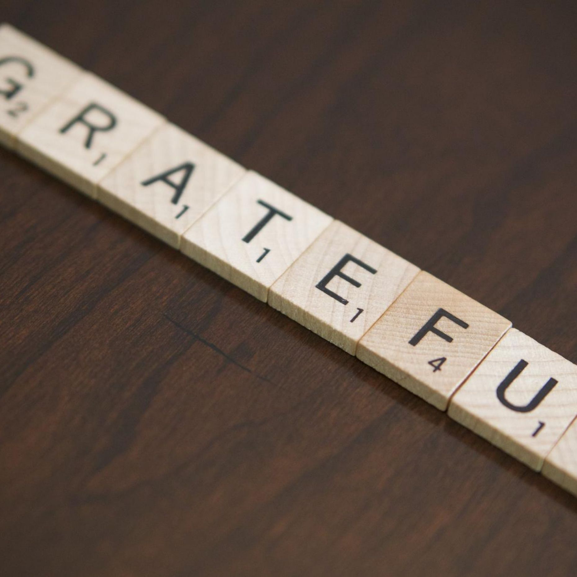 What Are You Grateful For? What Are You Grateful For?