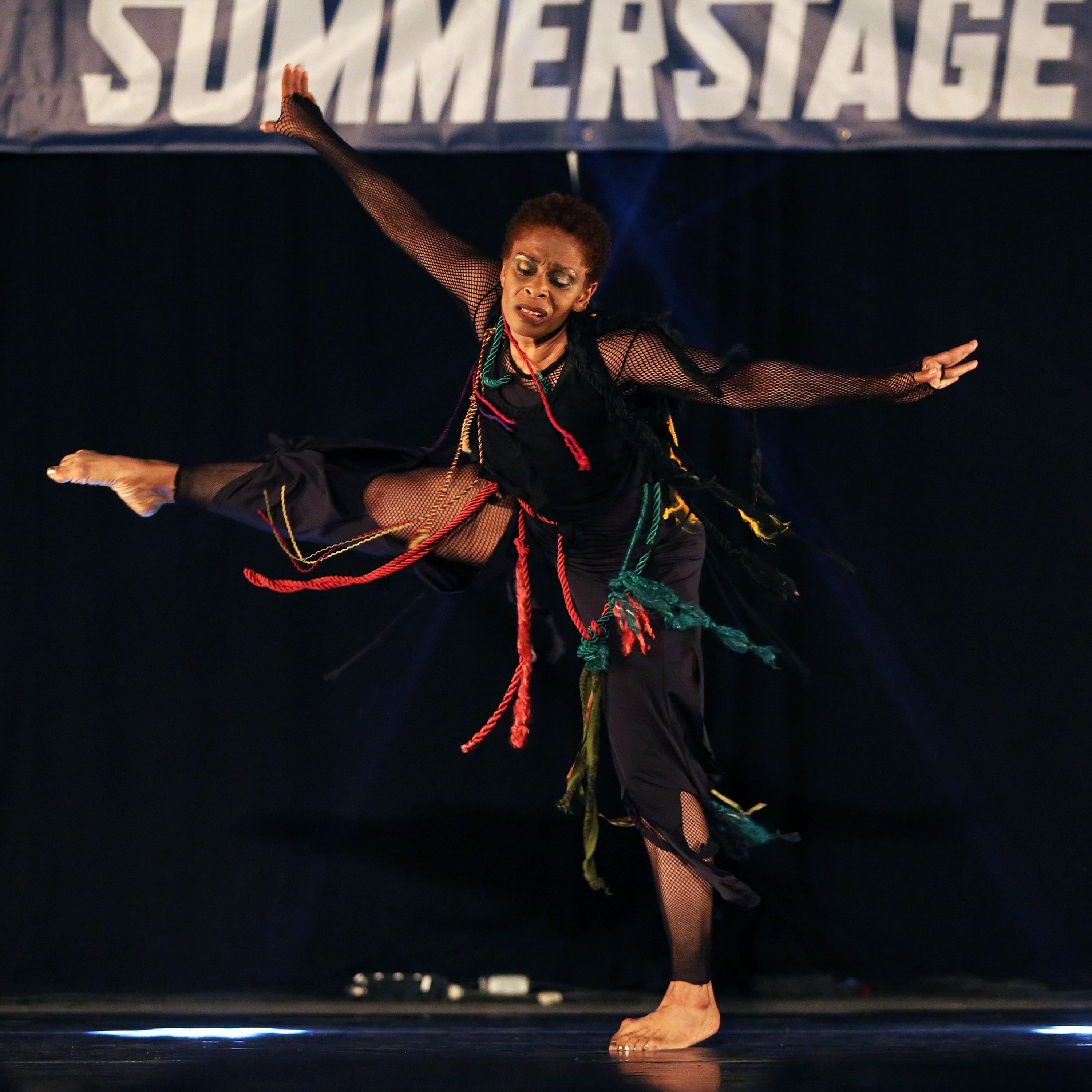 SummerStage Turns 40