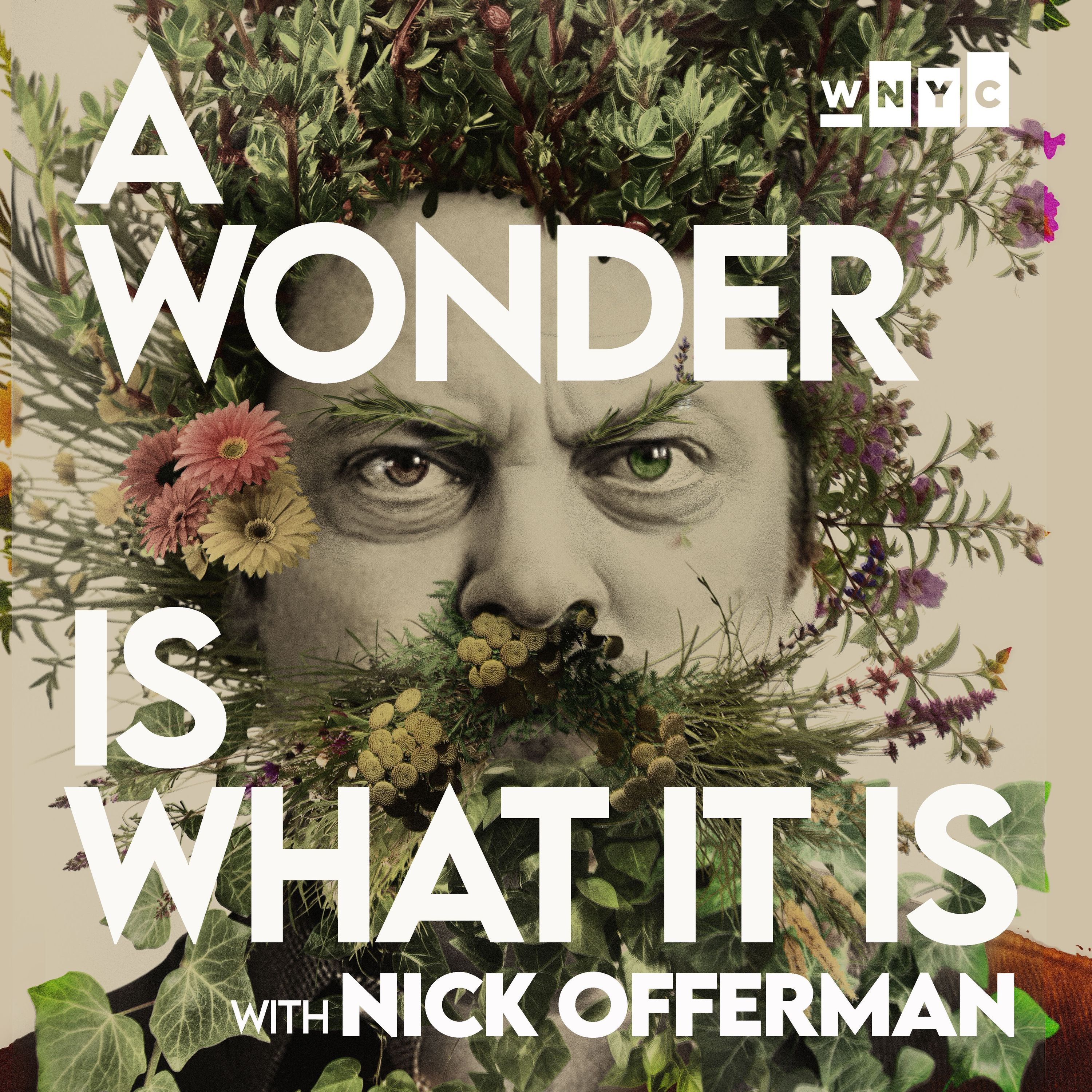 A Wonder Is What It Is: Nick Offerman Reads 'The Wild Rose' by Wendell Berry