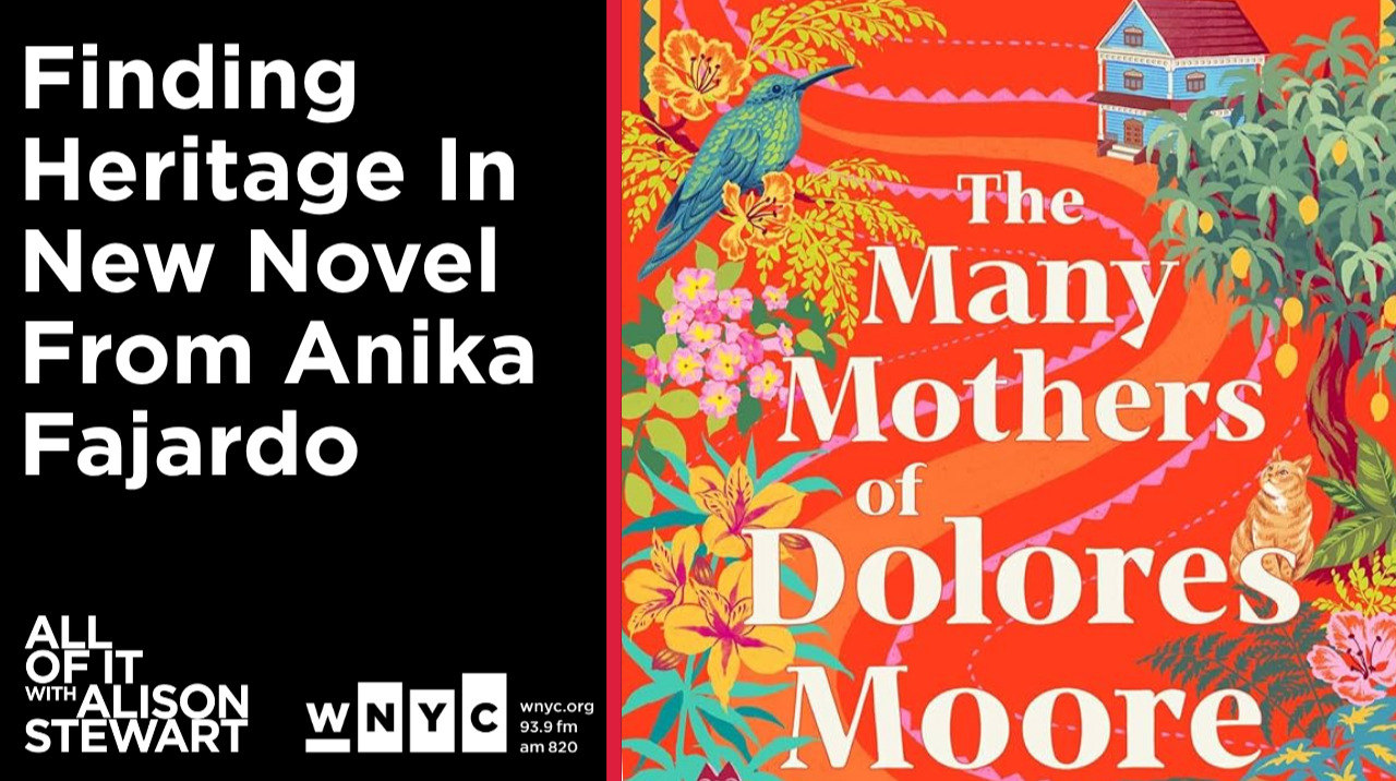 The New Novel 'The Many Mothers of Dolores Moore'