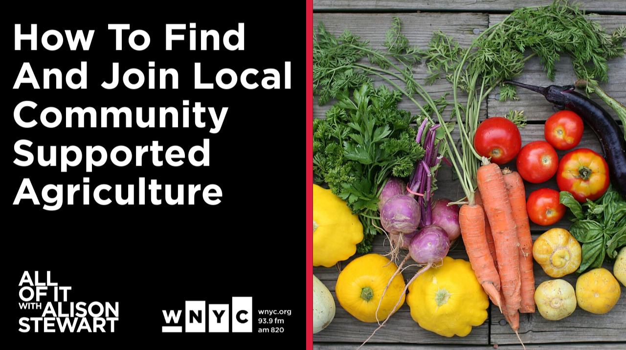 How to Join a CSA (What the Hack)