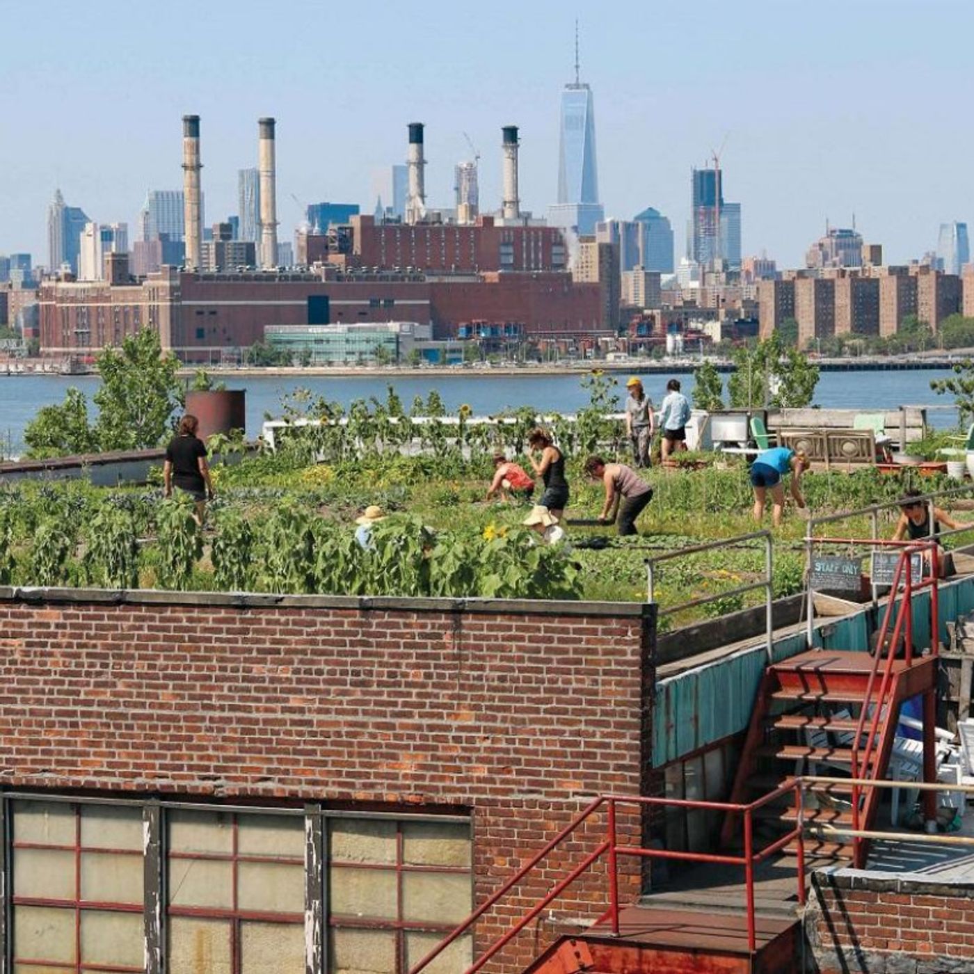 The History of Urban Gardening