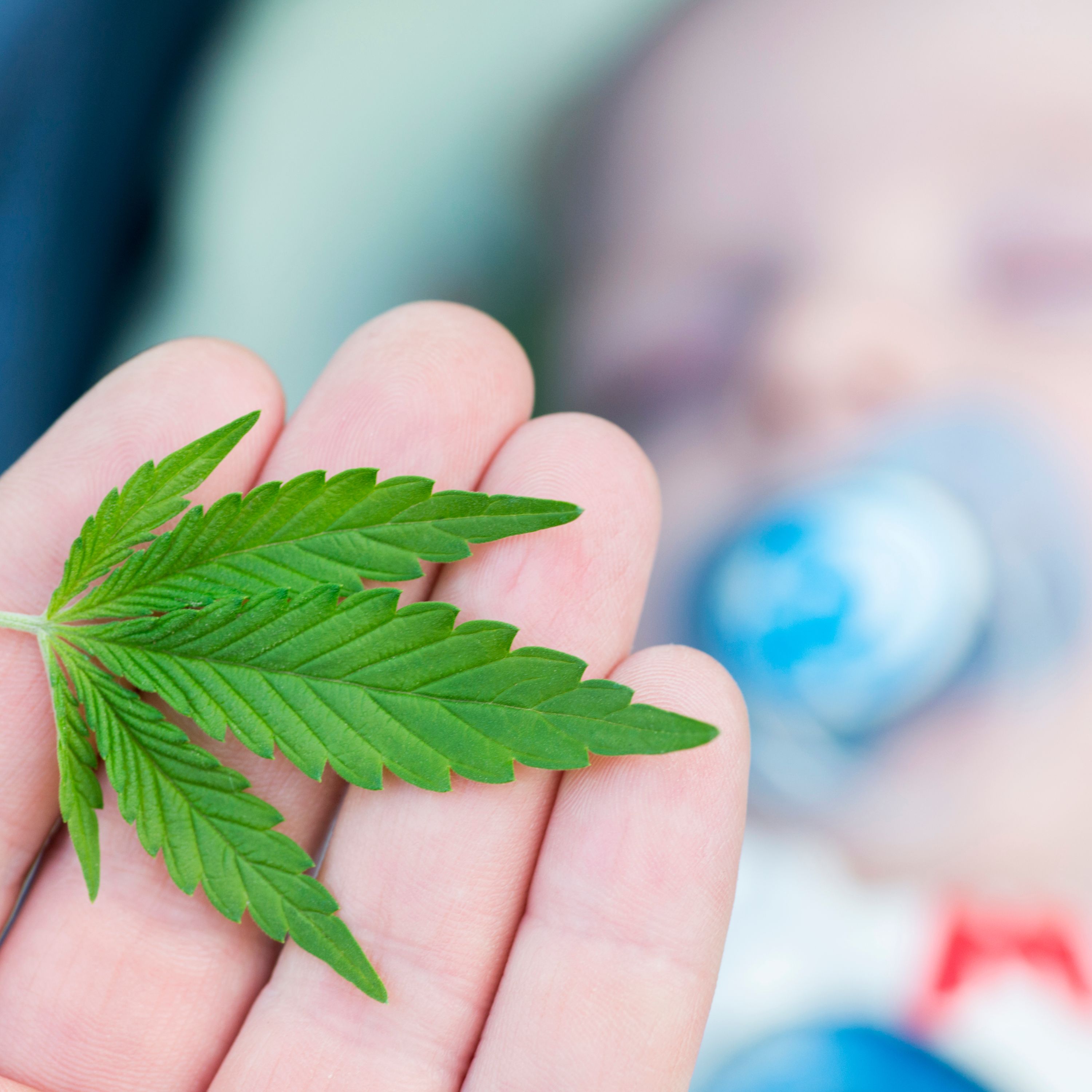Moms Who Use Cannabis