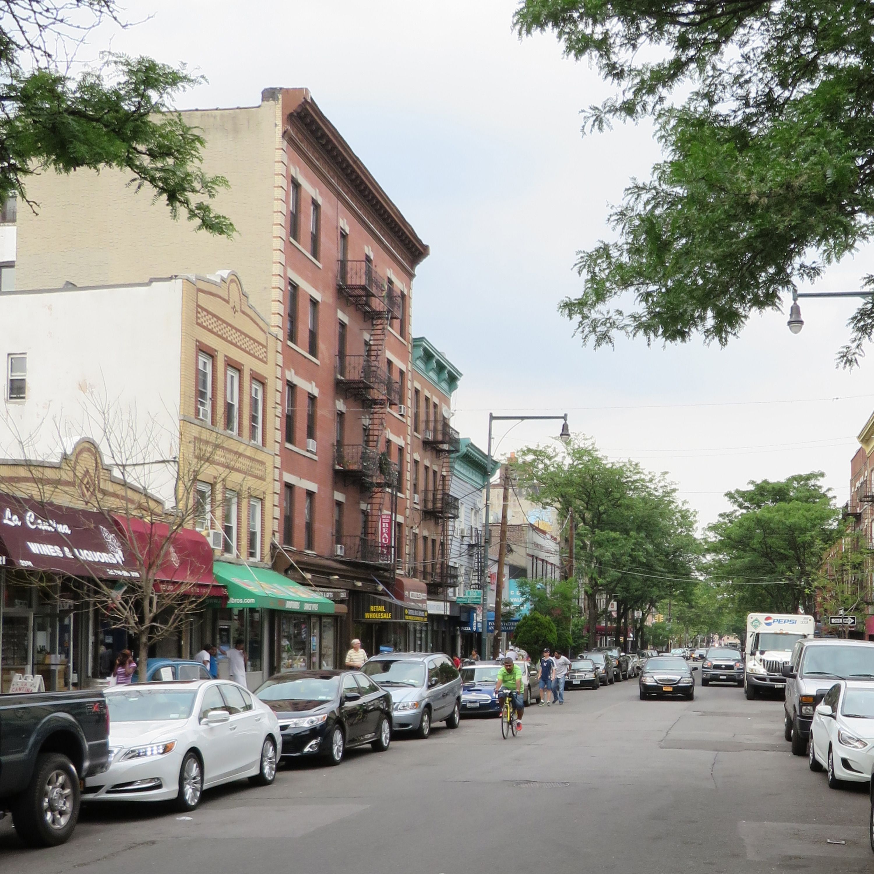 Summer in the City: The Bronx