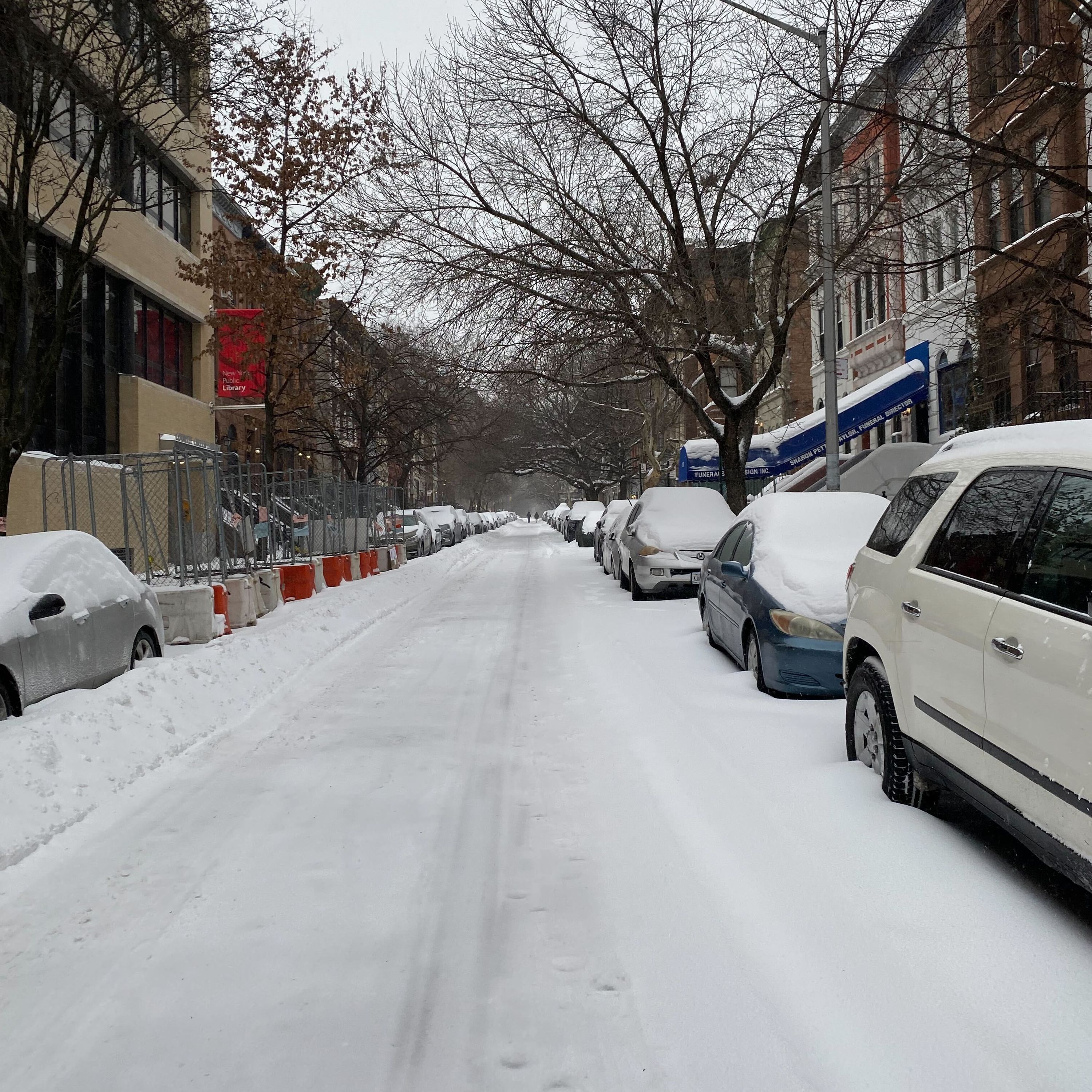 How About That Blizzard?