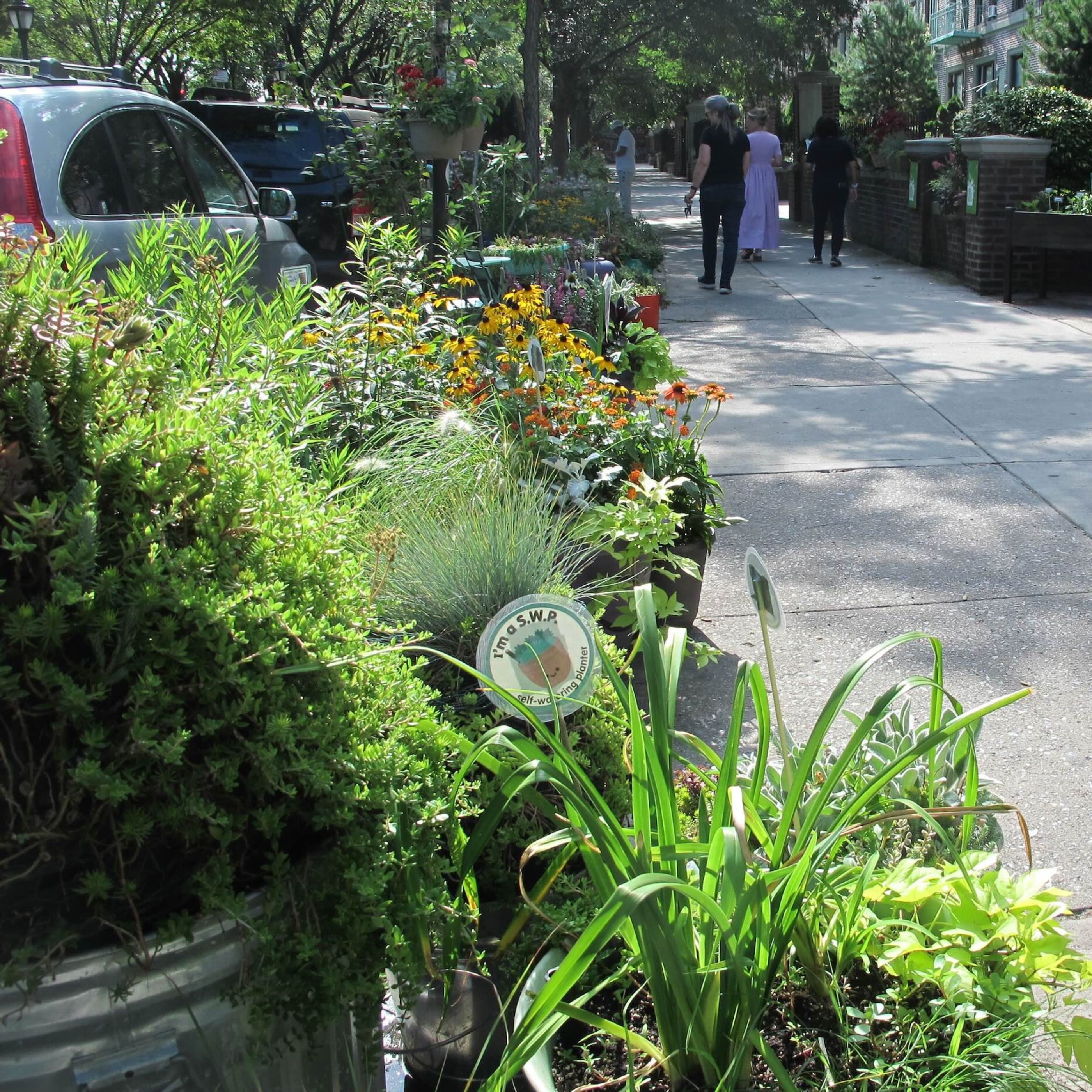 Competing to be the Greenest Block in Brooklyn