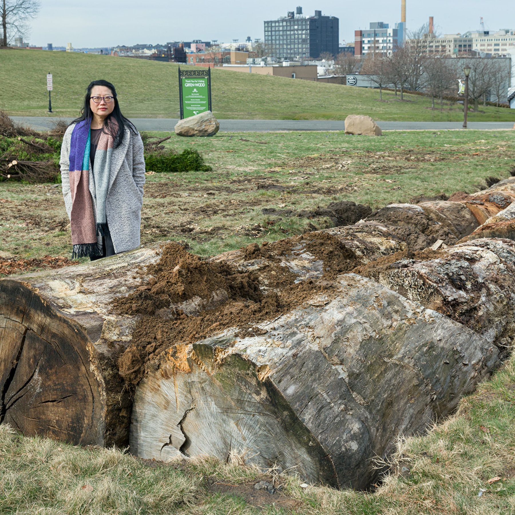 Artist Jean Shin Honors Ecology and Korean Burial Tradition in Green-Wood Installations