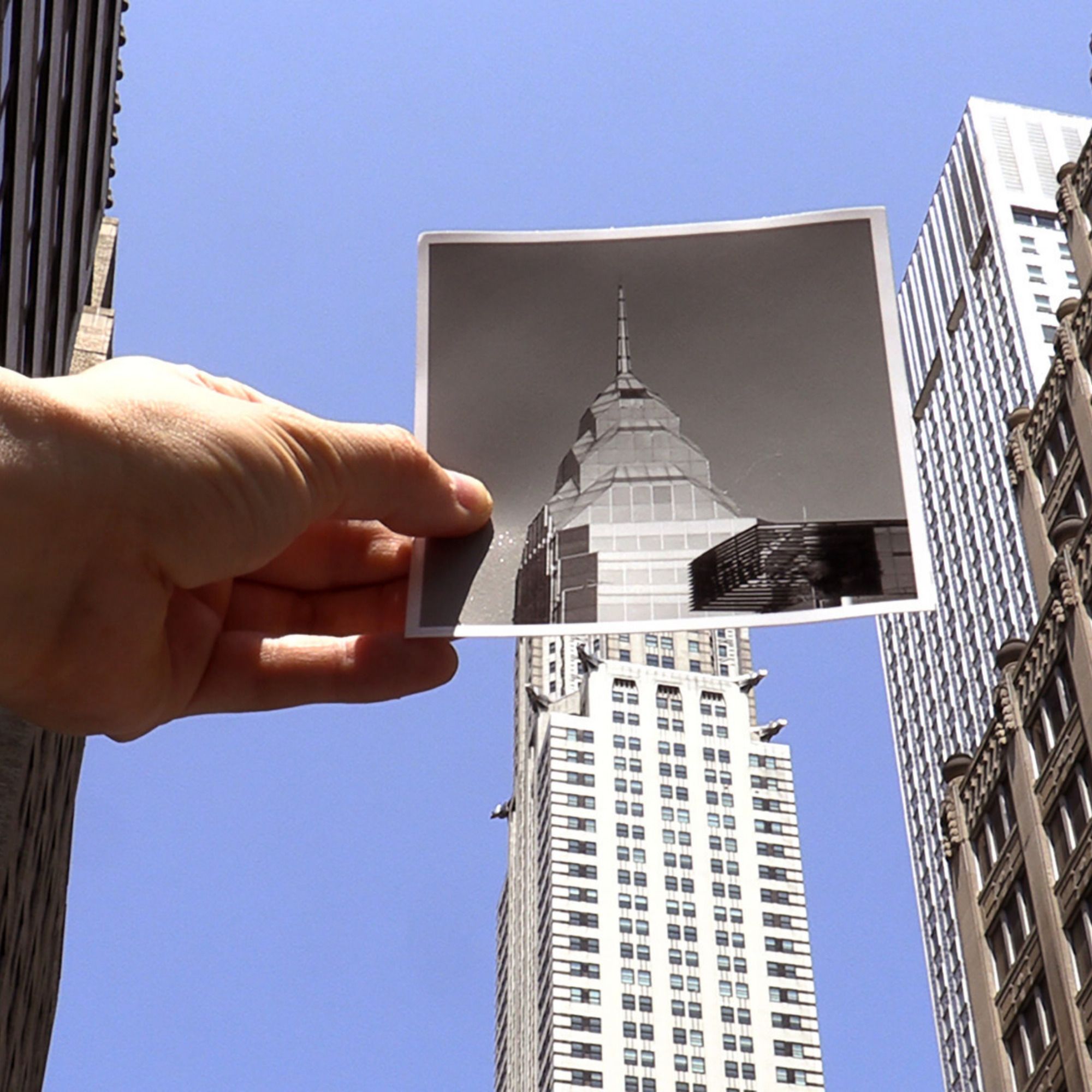 The 82nd Whitney Biennial Surveys Contemporary American Art