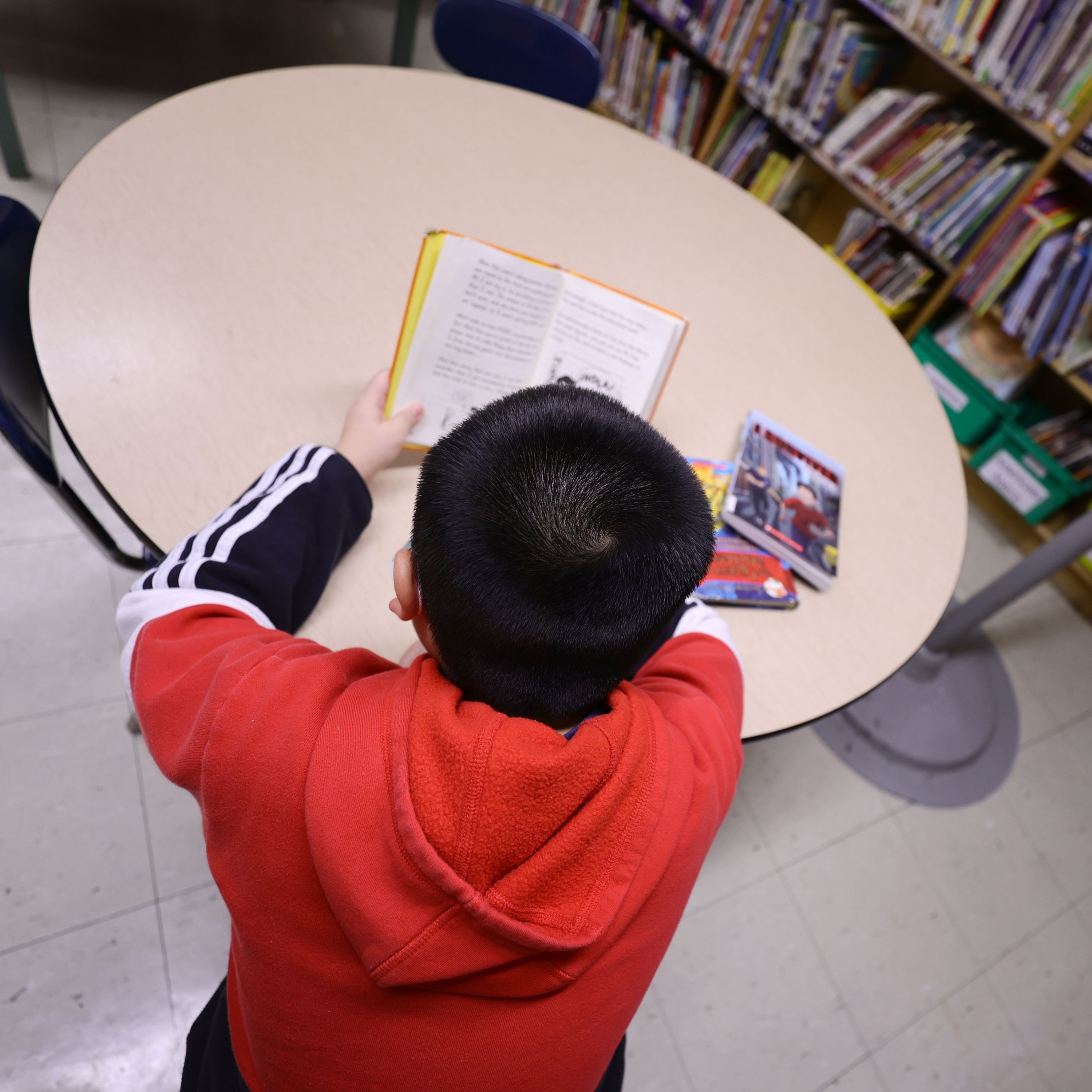 What's Behind the Drop in NYC's Reading Scores?