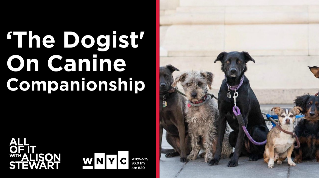 The Dogist' On Canine Companionship