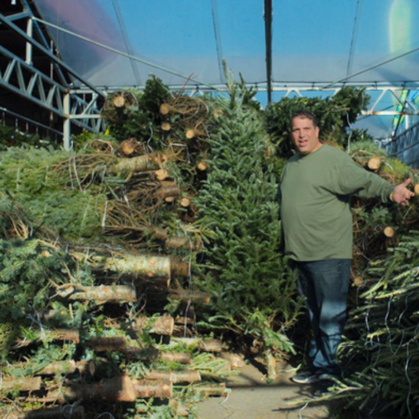 Merchants of Joy' Follows NYC Christmas Tree Sellers