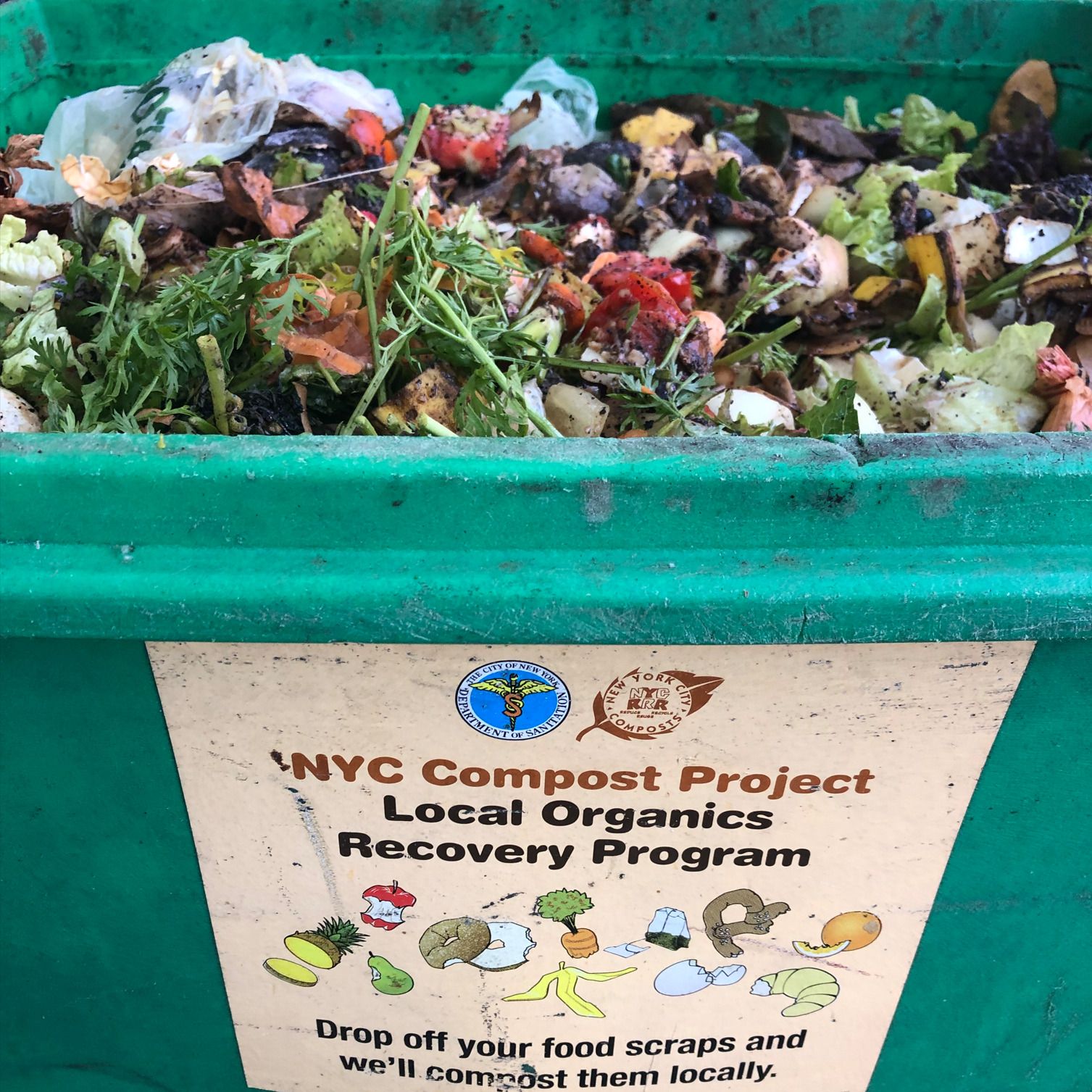 Composting Under the Mamdani Administration