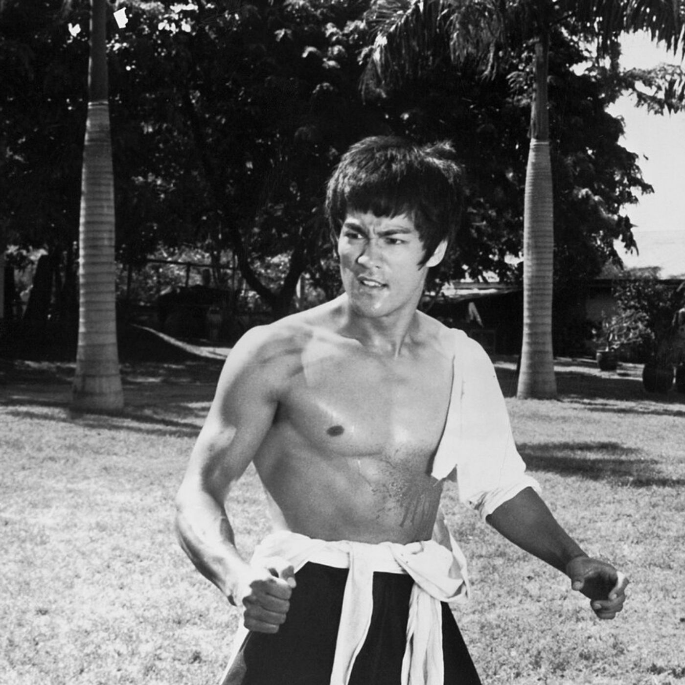 The Early Life of Bruce Lee (Full Bio) The Early Life of Bruce Lee (Full Bio)