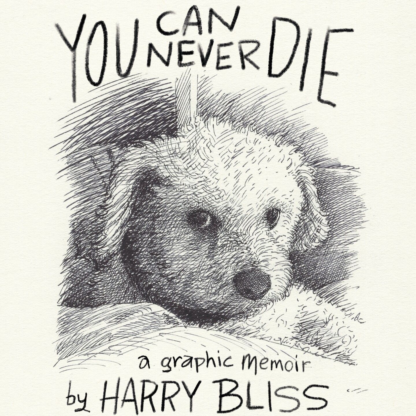 Cartoonist Harry Bliss Reckons With Pet Grief and Other Hard Times