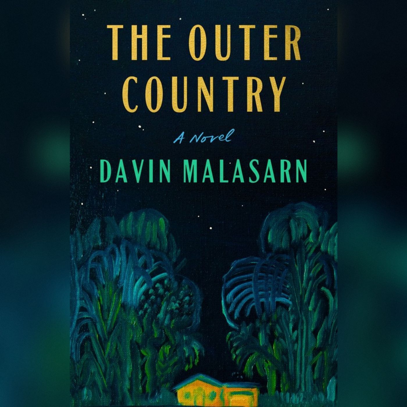 Debut AAPI Stories: Davin Malasarn's 'The Outer Country'