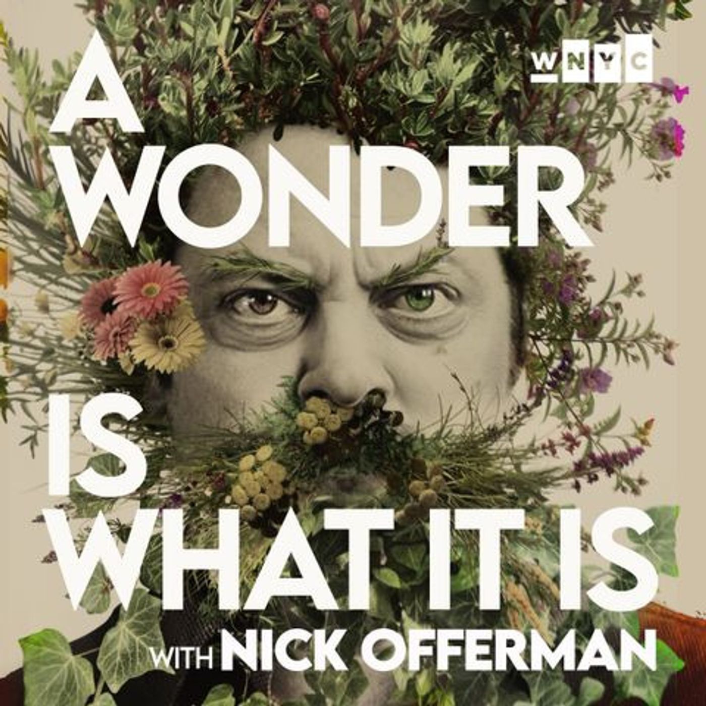 A Wonder Is What It Is: Nick Offerman Reads 'The Wild Rose' by Wendell Berry