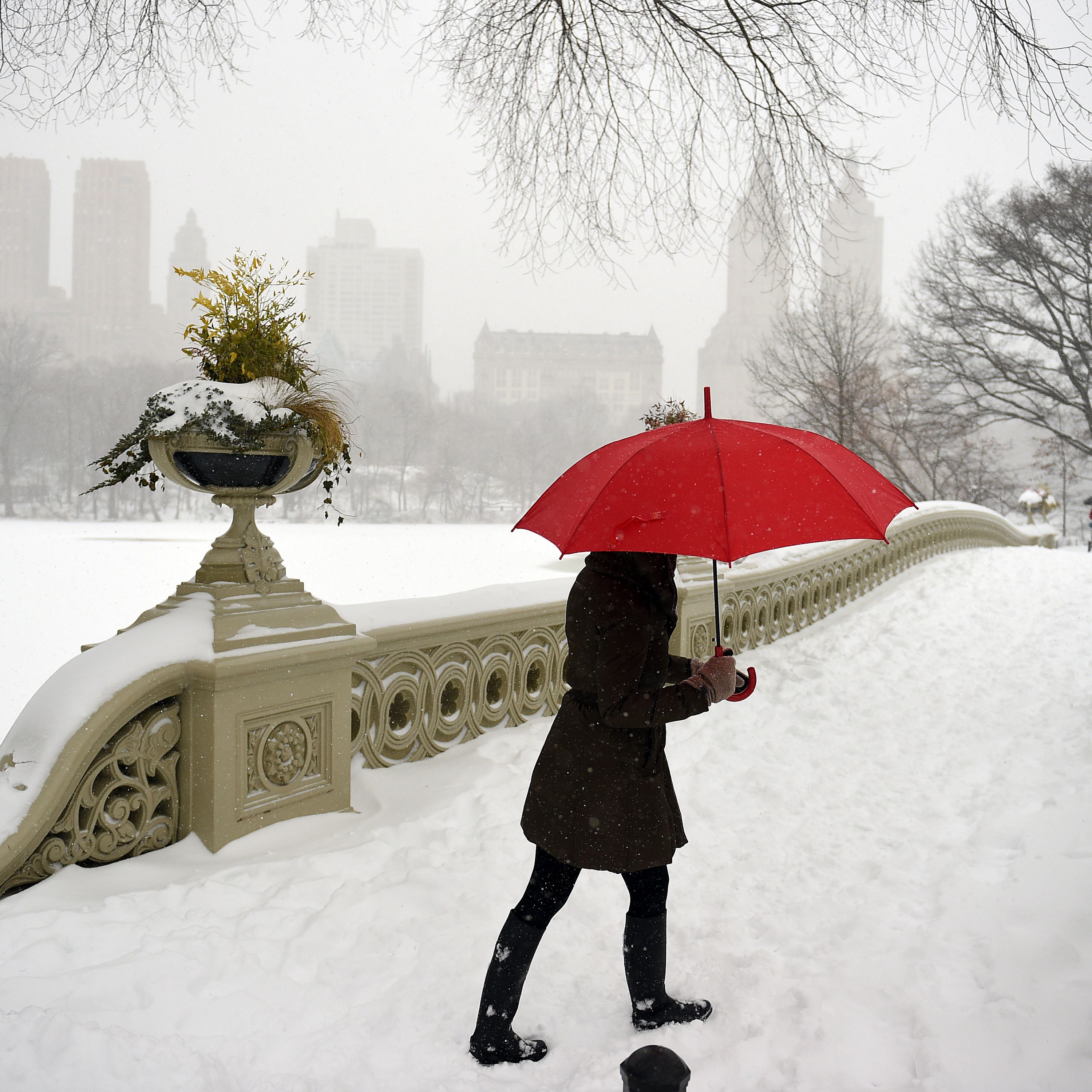 Listeners, Help Plan Alison's Staycation! Listeners, Help Plan Alison's Staycation!