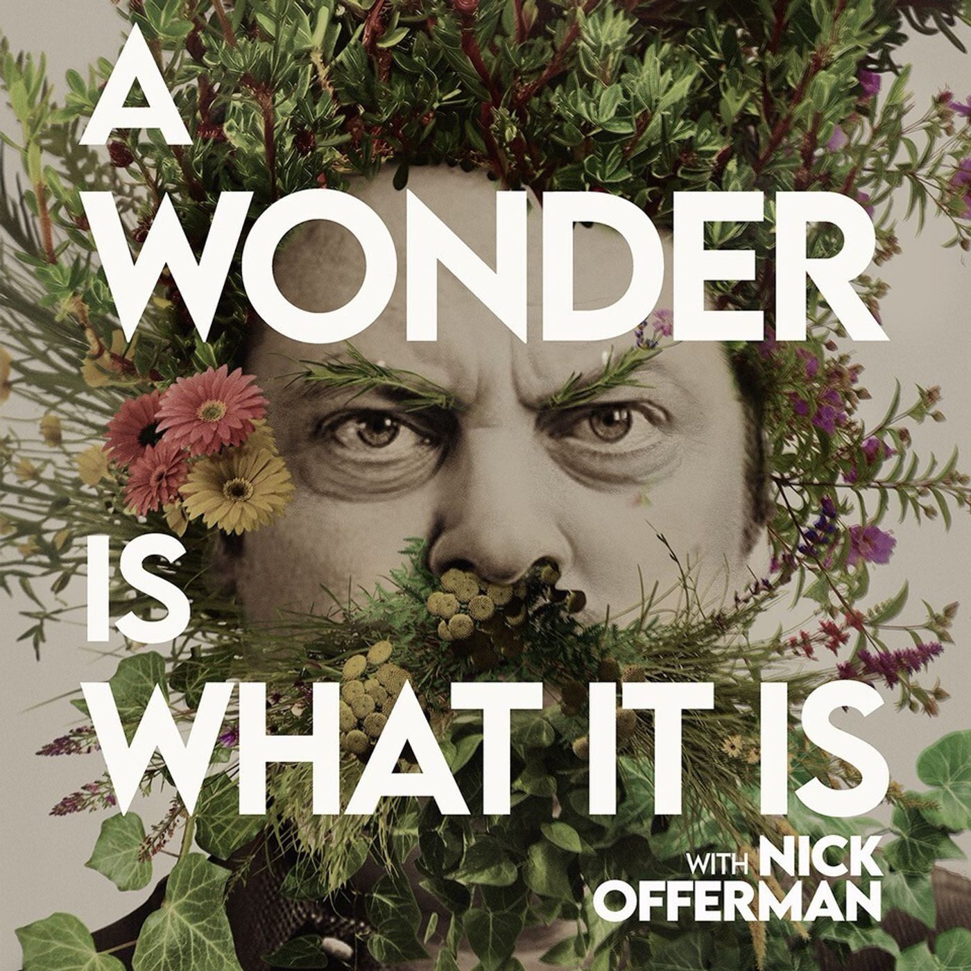 A Wonder Is What It Is: Nick Offerman Reads 'They,' by Wendell Berry