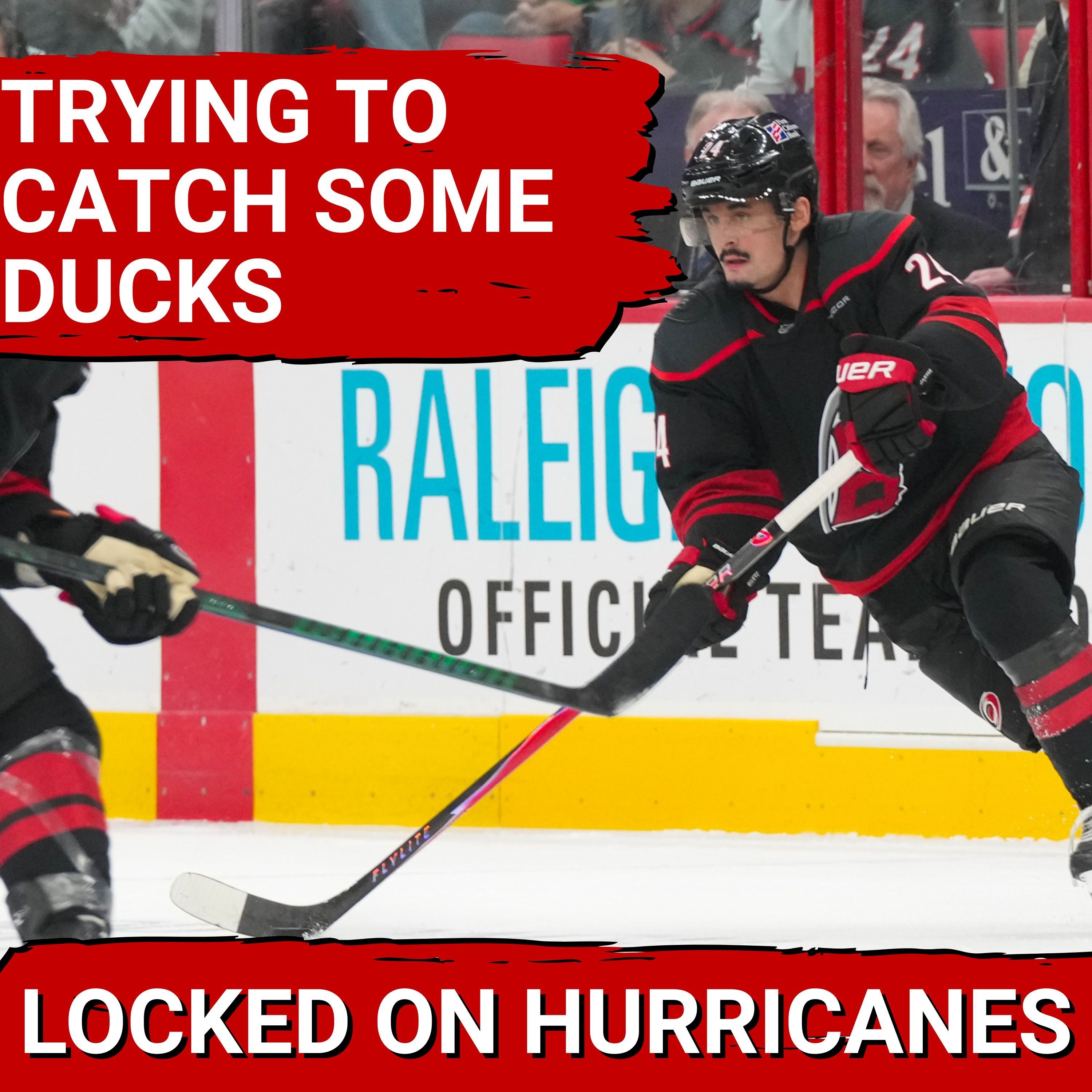 Trying to Catch a Duck in a Carolina Hurricane