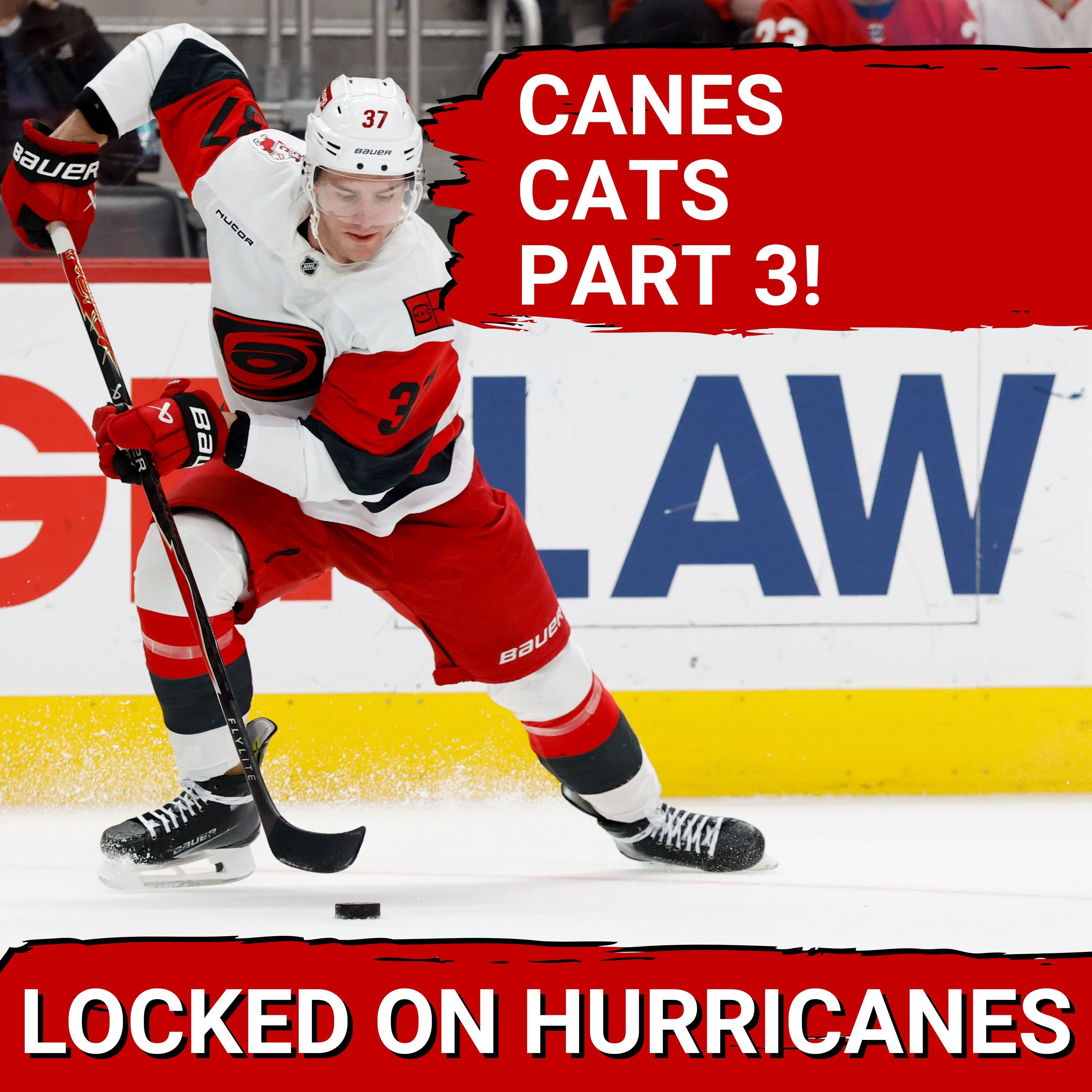 It's That Time, Again. It's Canes vs Cats Part 3