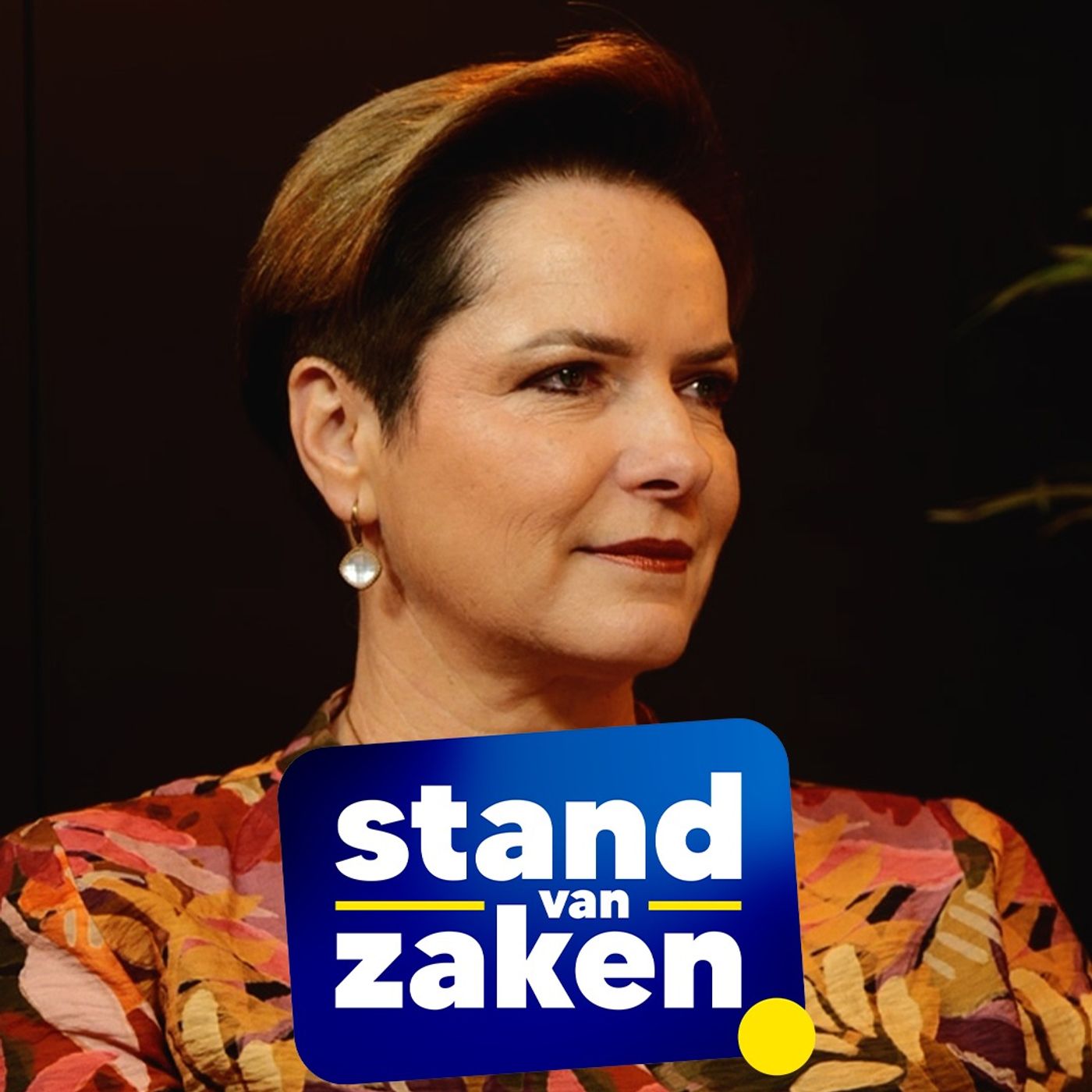 Stand van Zaken #25 - Annick Ponthier