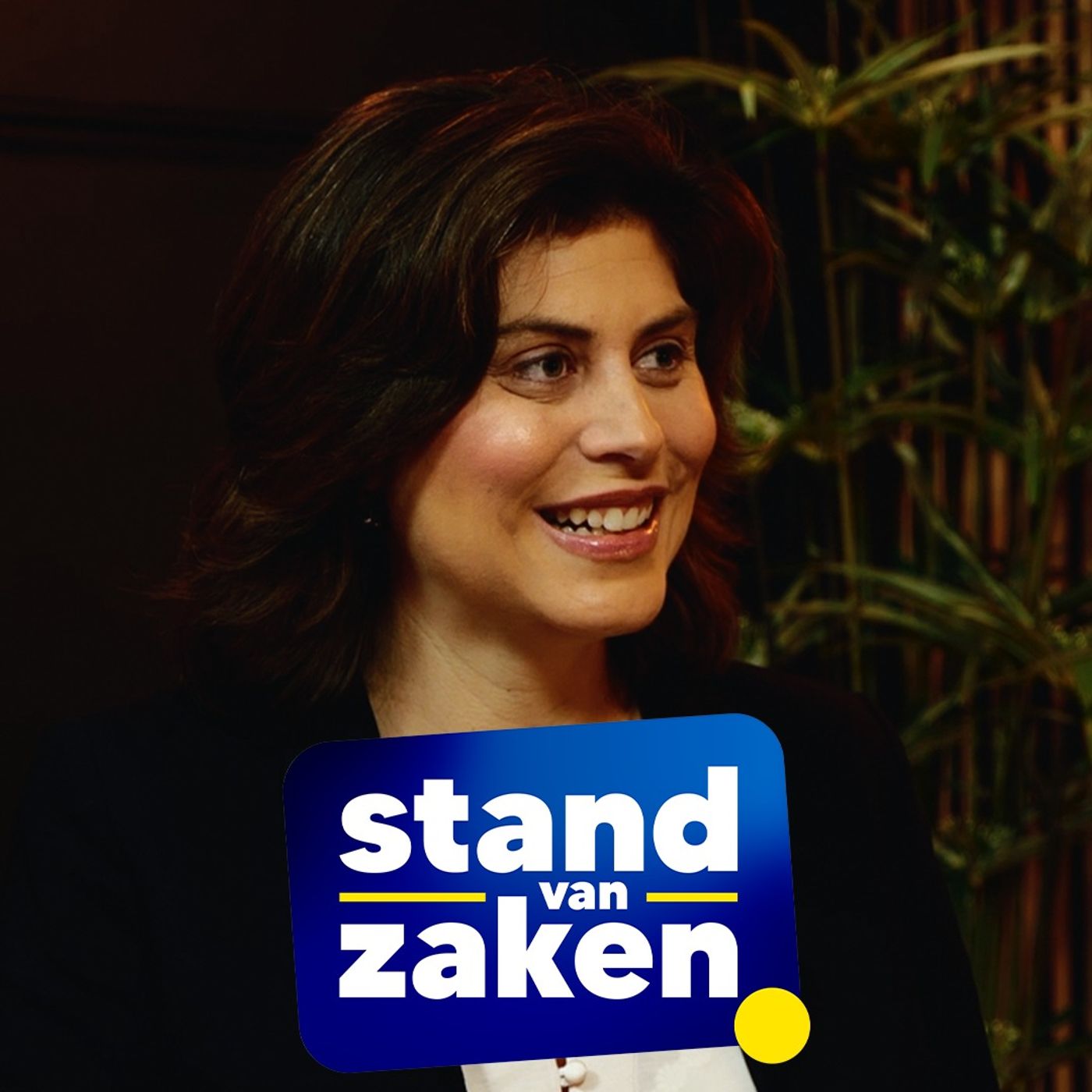 Stand van Zaken #31 - Roosmarijn Beckers