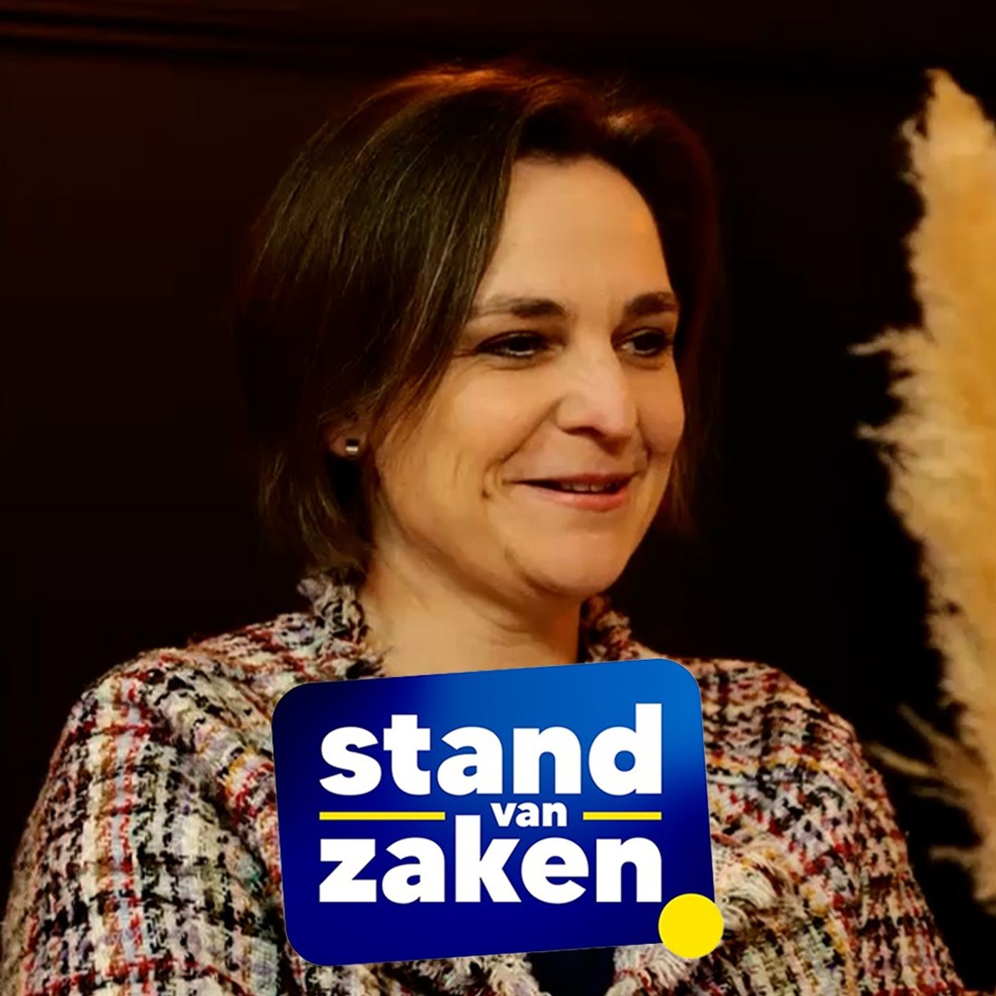 Stand van Zaken #2 - Barbara Pas