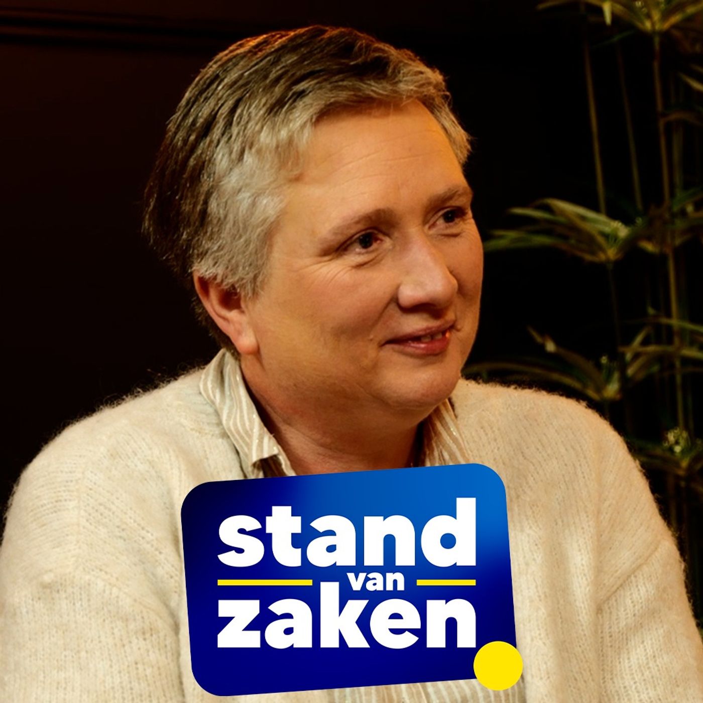 Stand van Zaken #30 - Dominiek Sneppe
