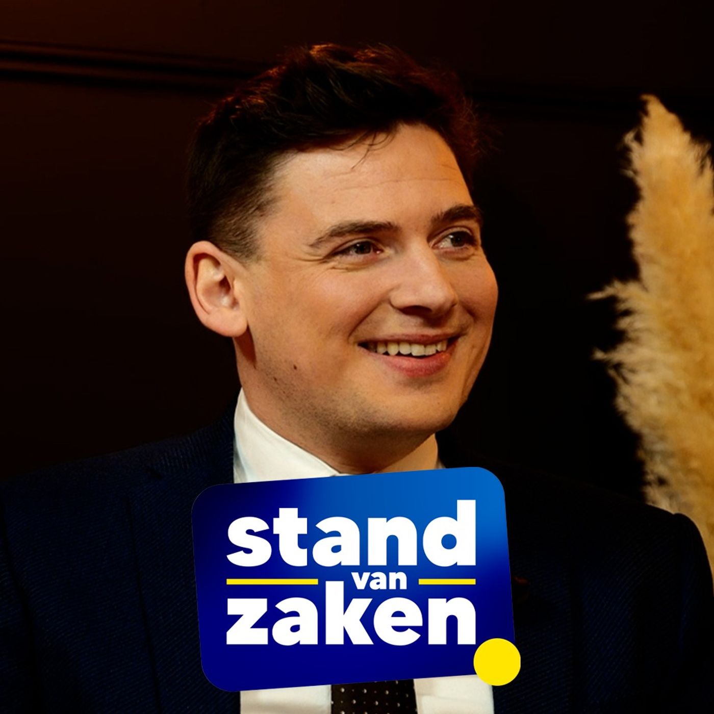 Stand van Zaken #3 - Alexander Van Hoecke
