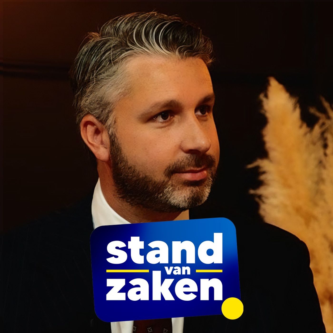 Stand Van Zaken #8 - Bart Claes