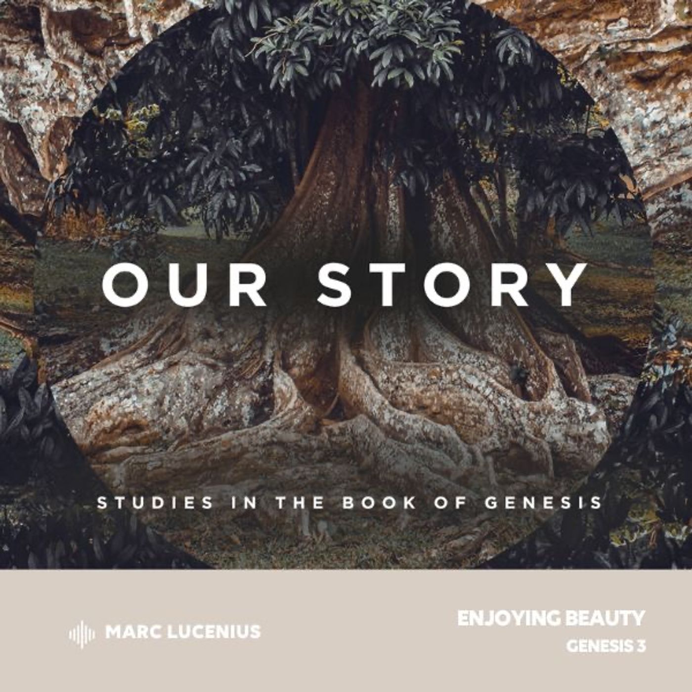 Our Story: Enjoying Beauty