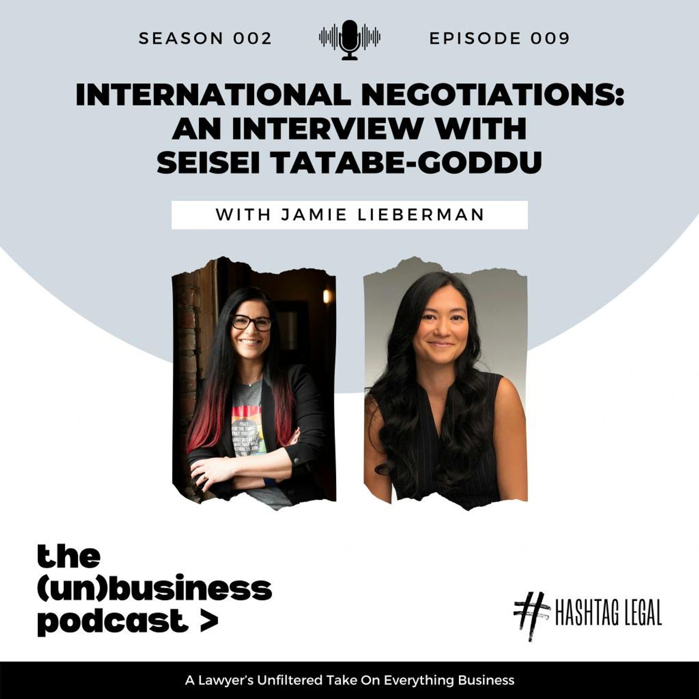 Season 2, Episode 9 – International Negotiations: An Interview with SeiSei Tatabe-Goddu